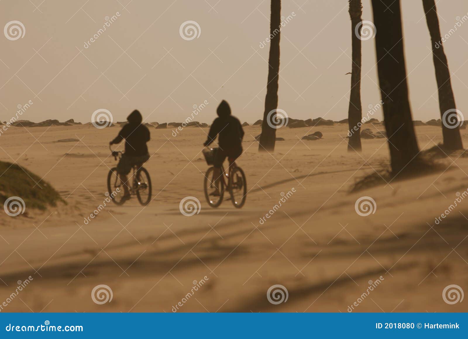 Two Cyclists Cycling in a Desert Braving Sand and Wind Stock Photo