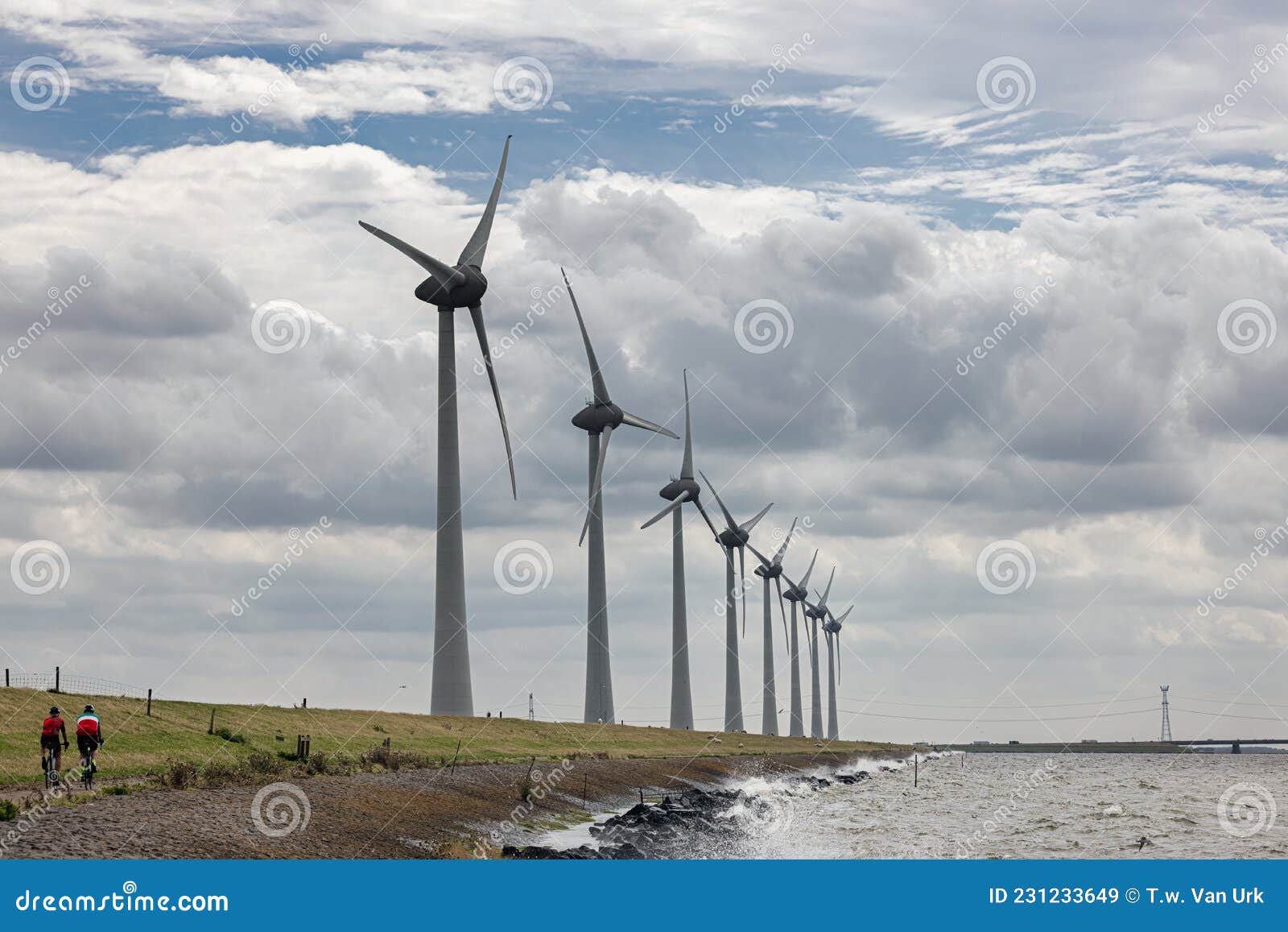 two cyclists at dike ijsselmeer near long row of windturbines