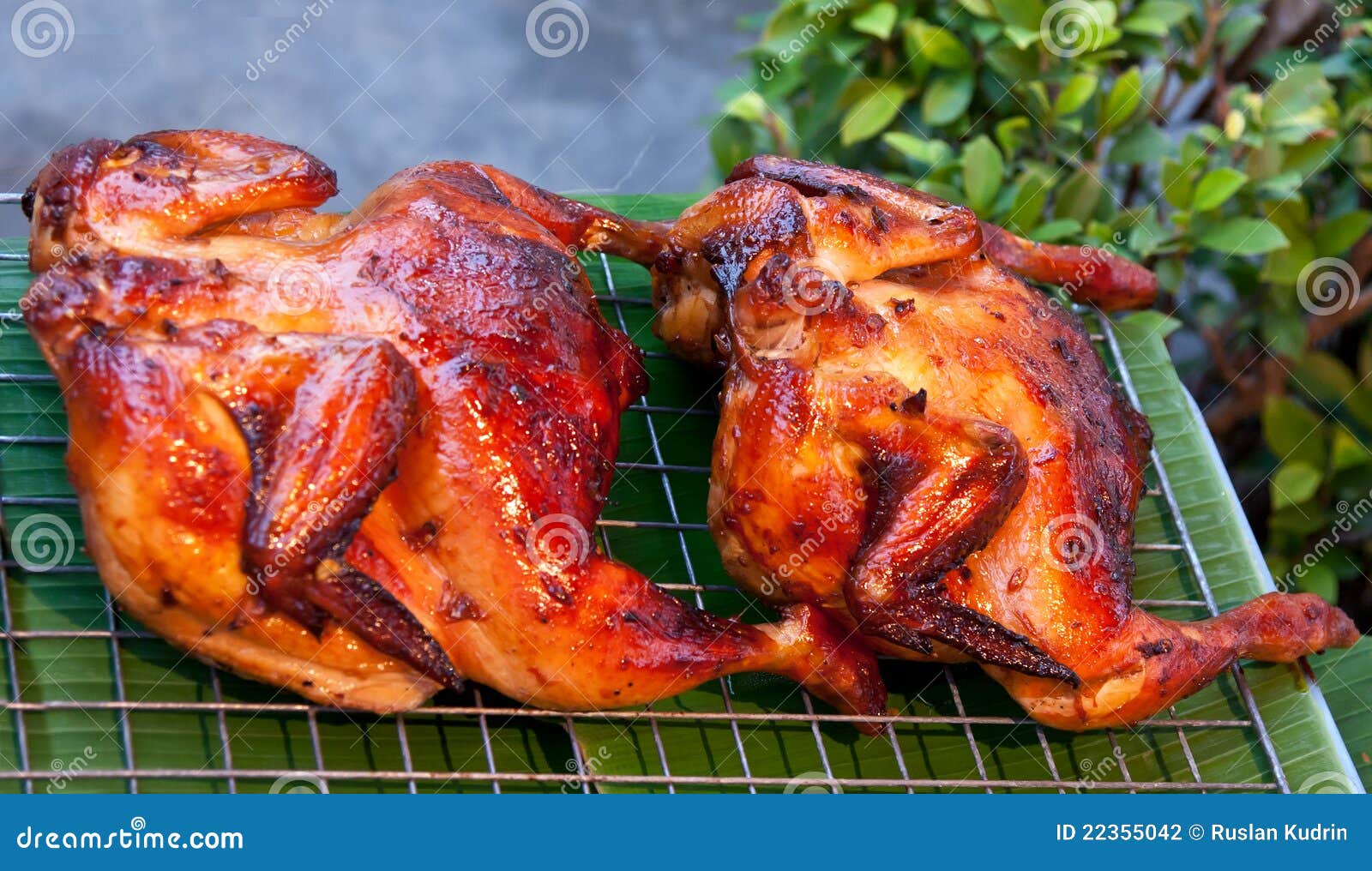 Two Delicious Grilled Chicken Stock Photo Image of breakfast, dish