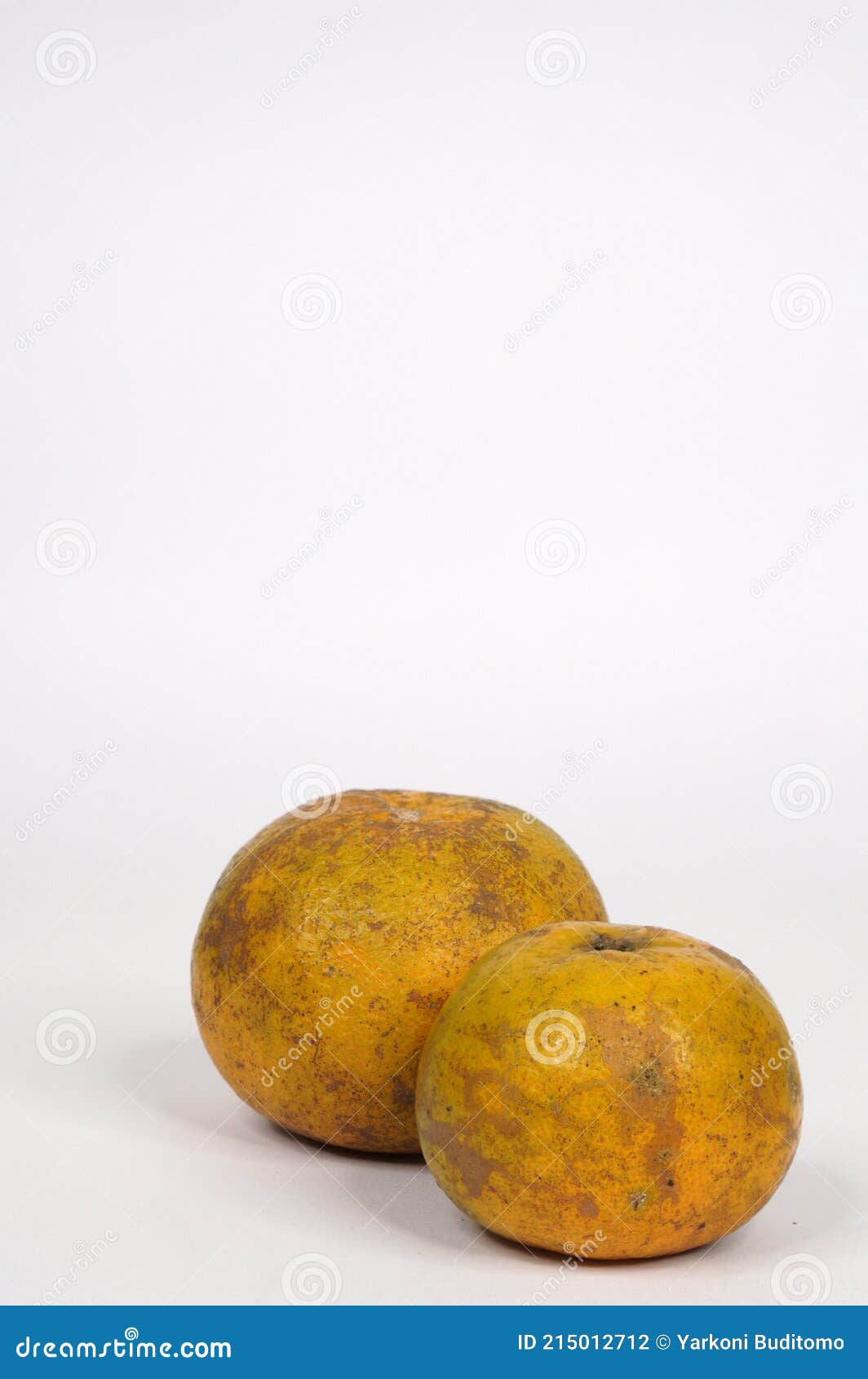 Two Dirty Oranges on White Background Stock Photo Image of healthy, fruits 215012712
