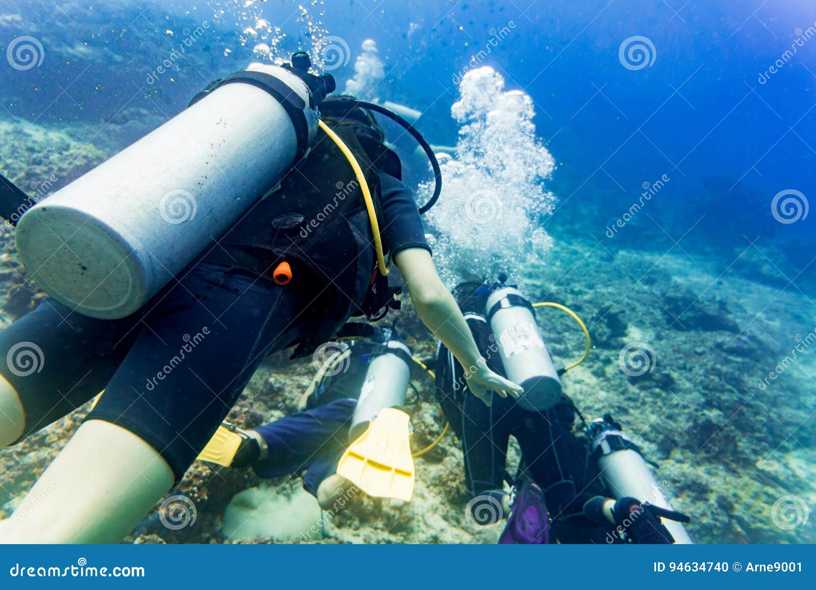 Two Divers Scuba Diving in Tropical Sea at Reef Stock Photo Image of diving, saltwater 94634740