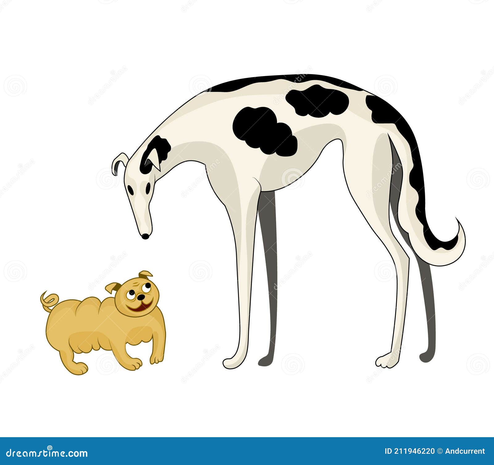 Pug and Russian Greyhound. Breeds of Dogs. Vector Image. Stock Vector - Illustration of friendship, high: 211946220 Pug and Russian Greyhound. Breeds of Dogs. Vector Image. Stock Vector - Illustration of friendship, high: 211946220