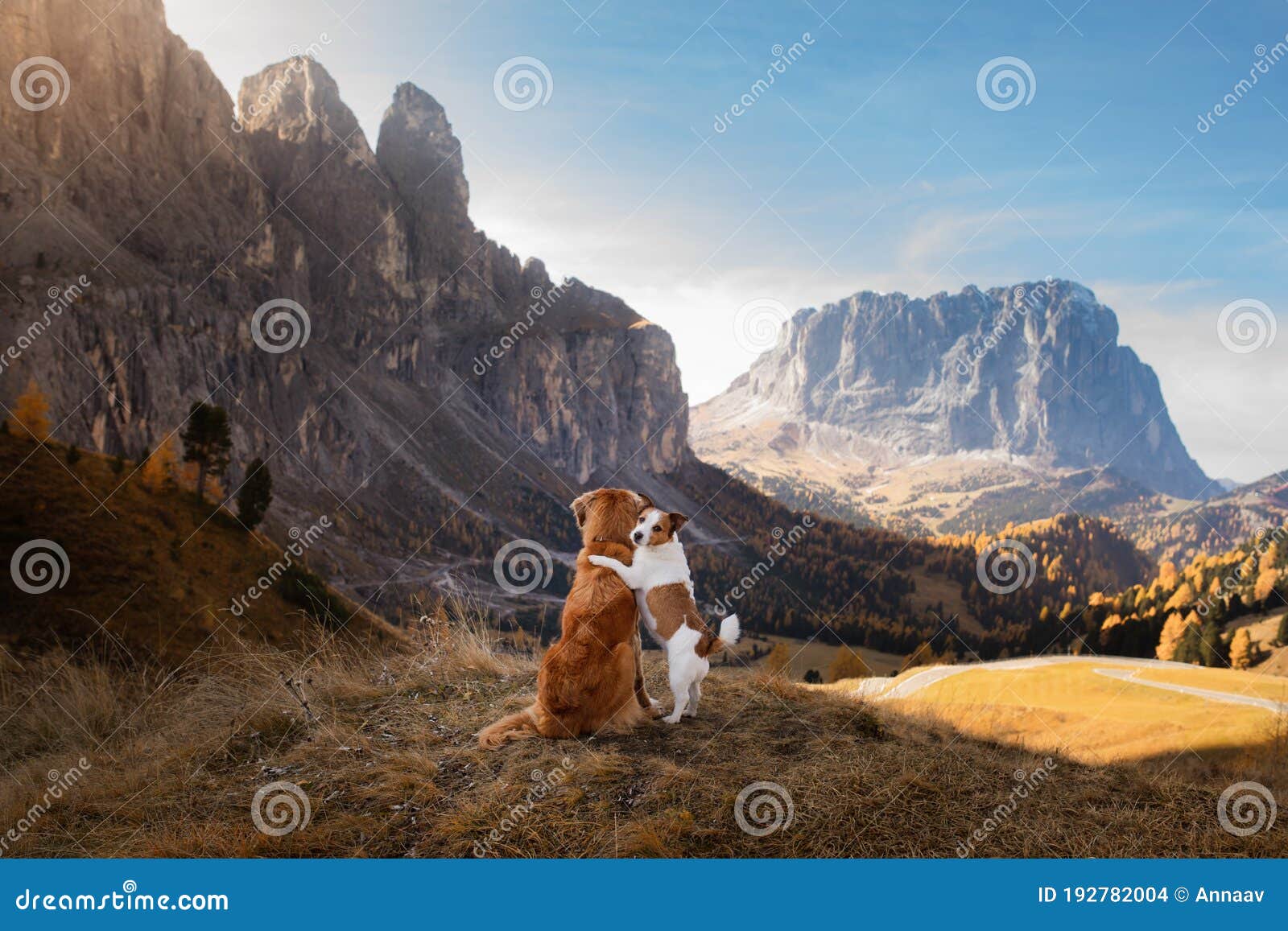 two dogs in travel. autumn mountain view. landscape with a pet