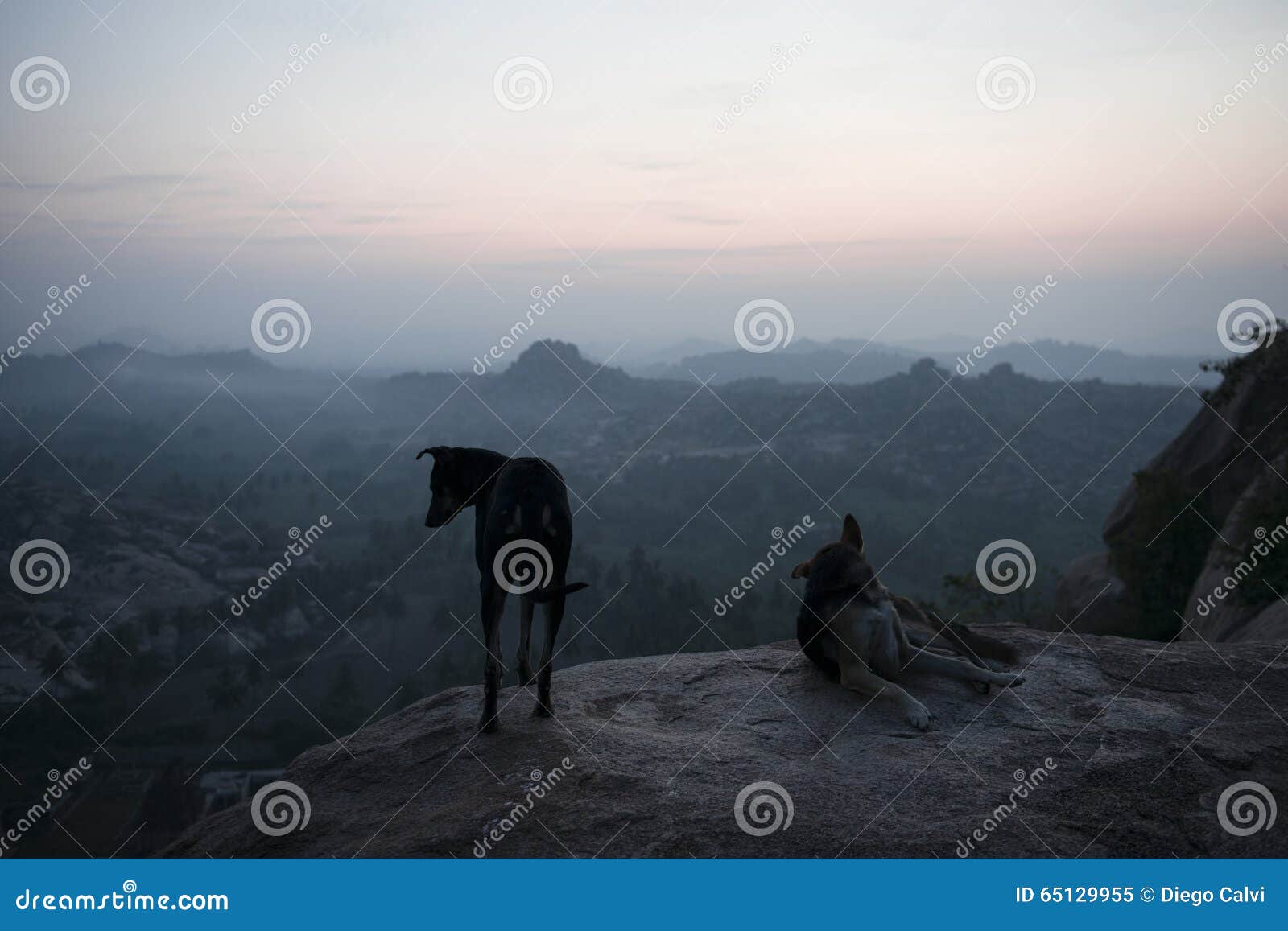 two dogs watching the sunrise. hampi, india