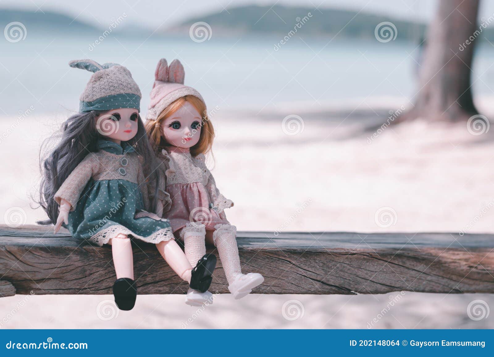 Two Dolls so Cute Sitting on Wood Swing with Sea Beach Background ...