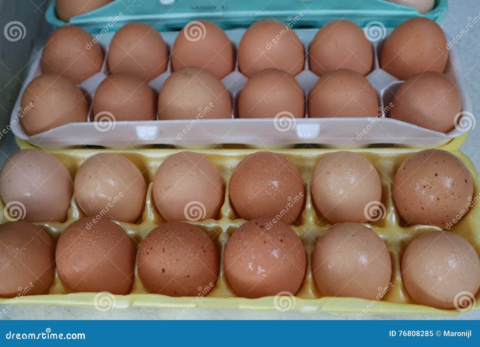 Сколько яиц у мужчин. Стоимость человеческого яйца.