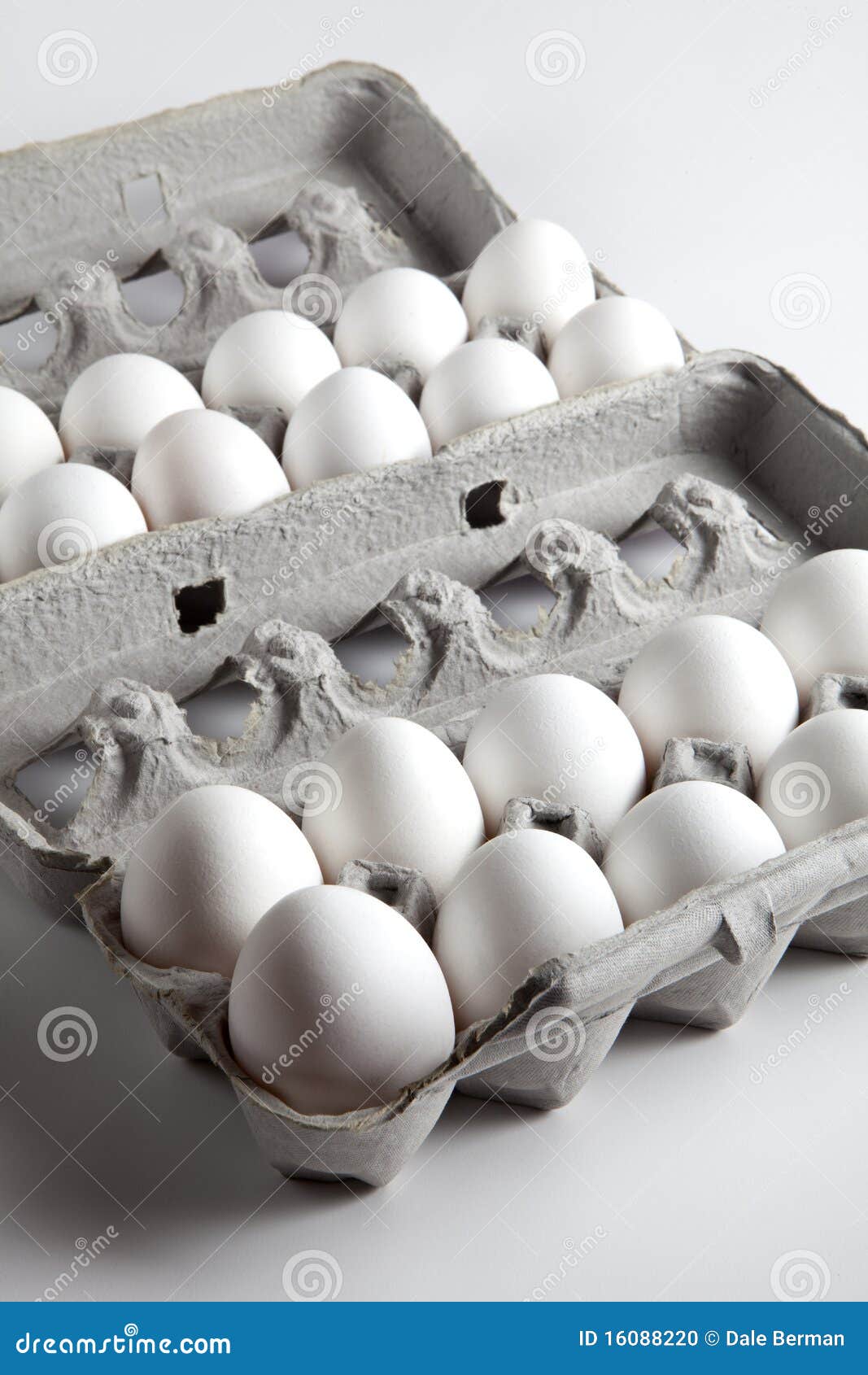 Two Dozen White Eggs Inside Egg Cartons Stock Photo Image of yolk, carton 16088220
