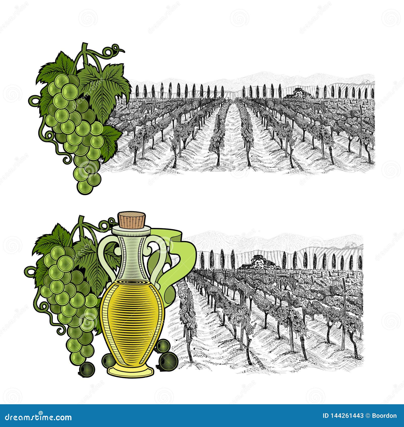 two drawned sketches landscape of vineyard with house and mountains on horizont, with color s. white grapes and grapes