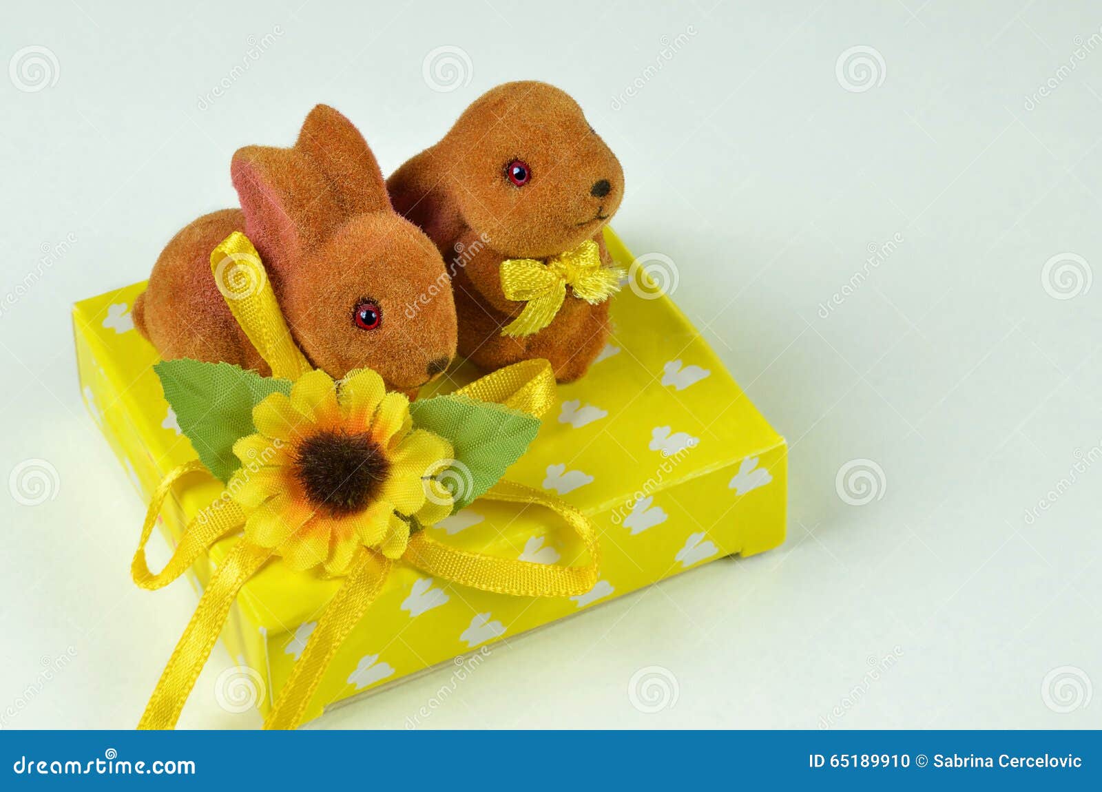 Two Easter bunnies stock photo. Image of copy, easter 65189910