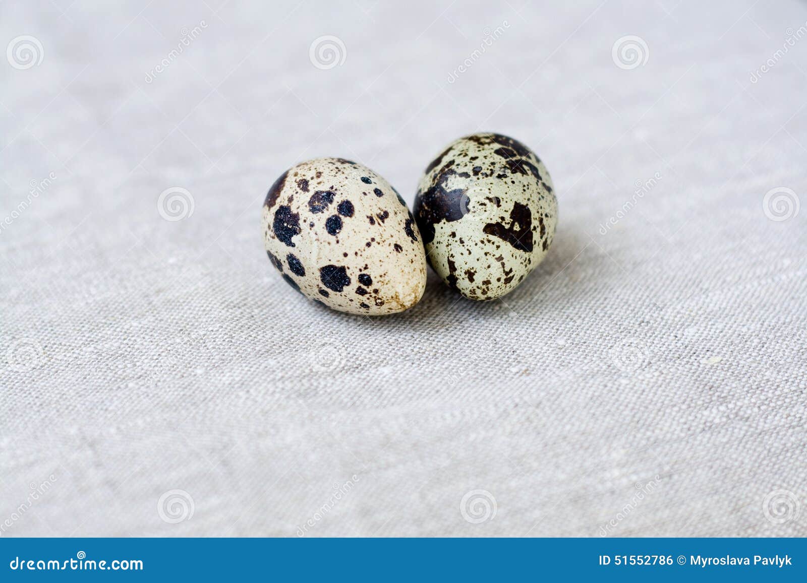 Two quail eggs lying on a light background