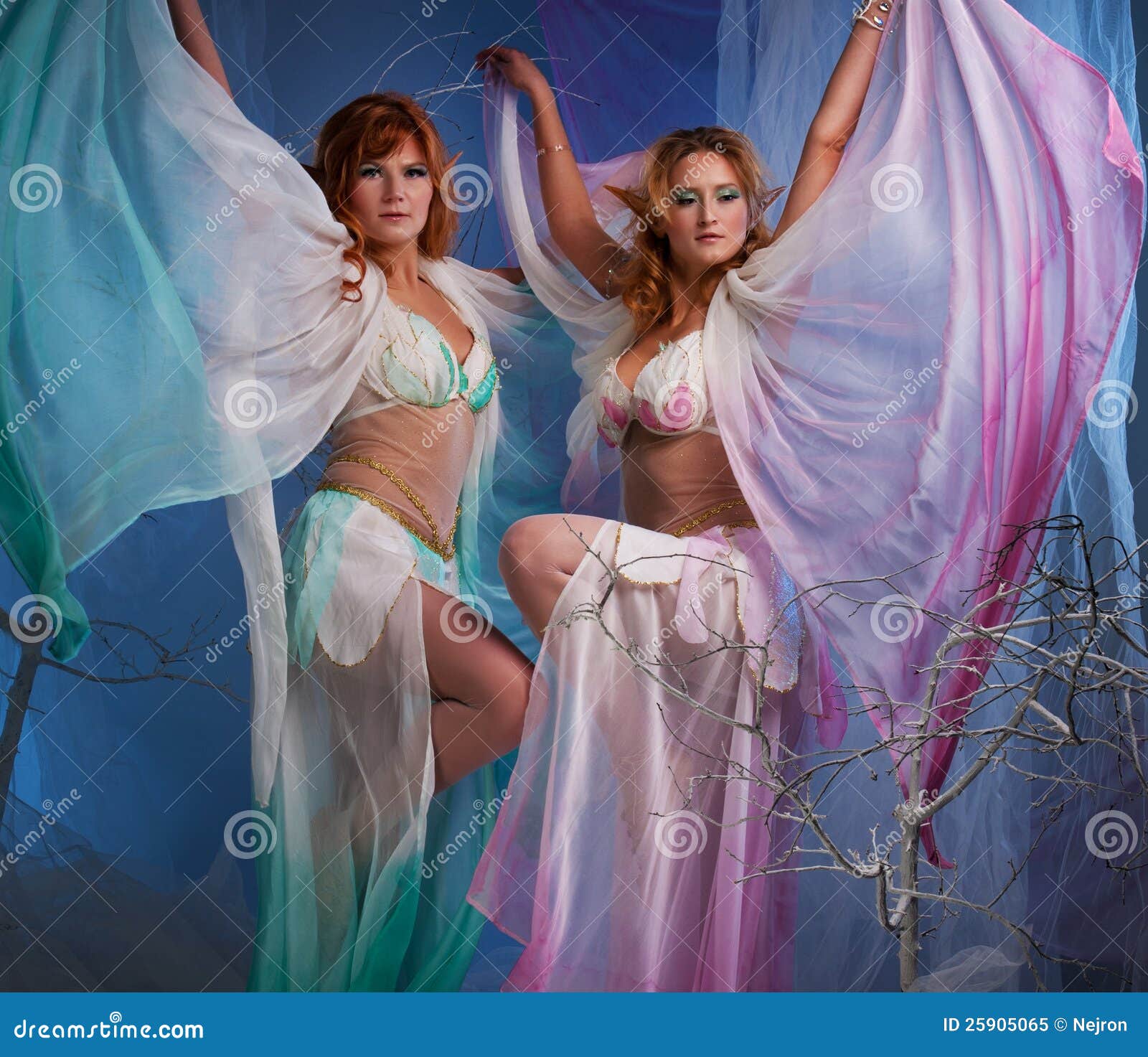 Two elf women stock image. Image of elven, body, dream - 25905065