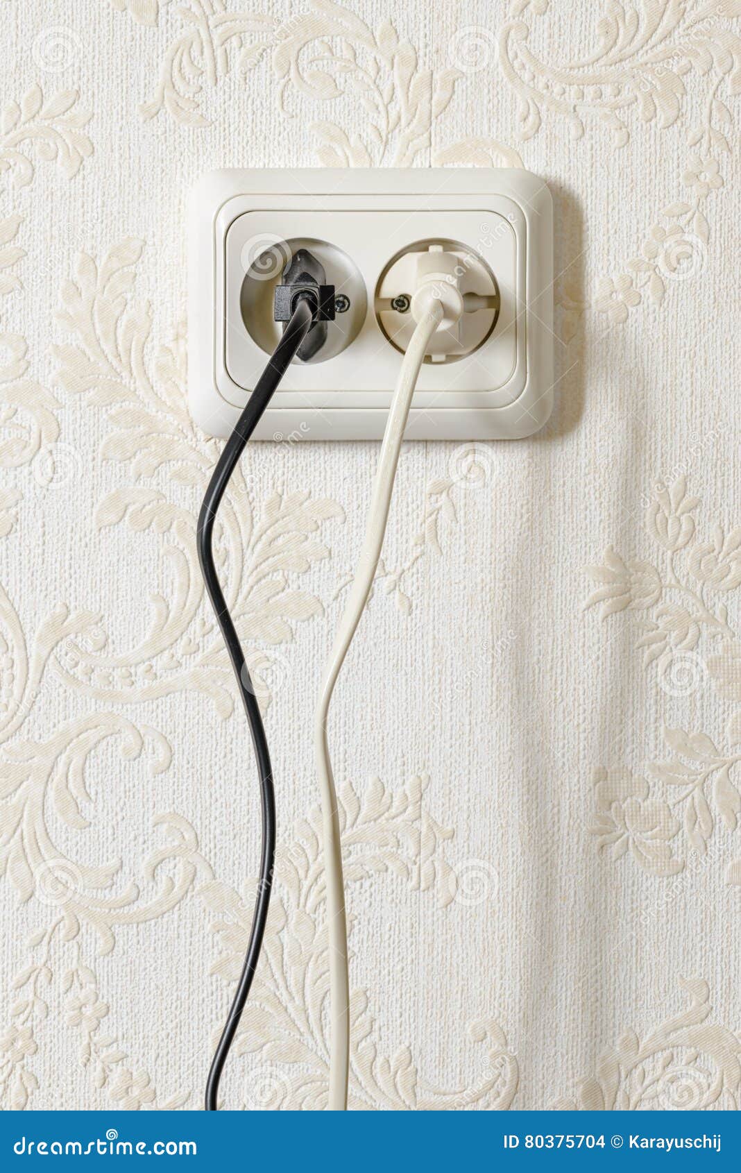 Two European Plugs stock photo. Image of energy, equipment 80375704