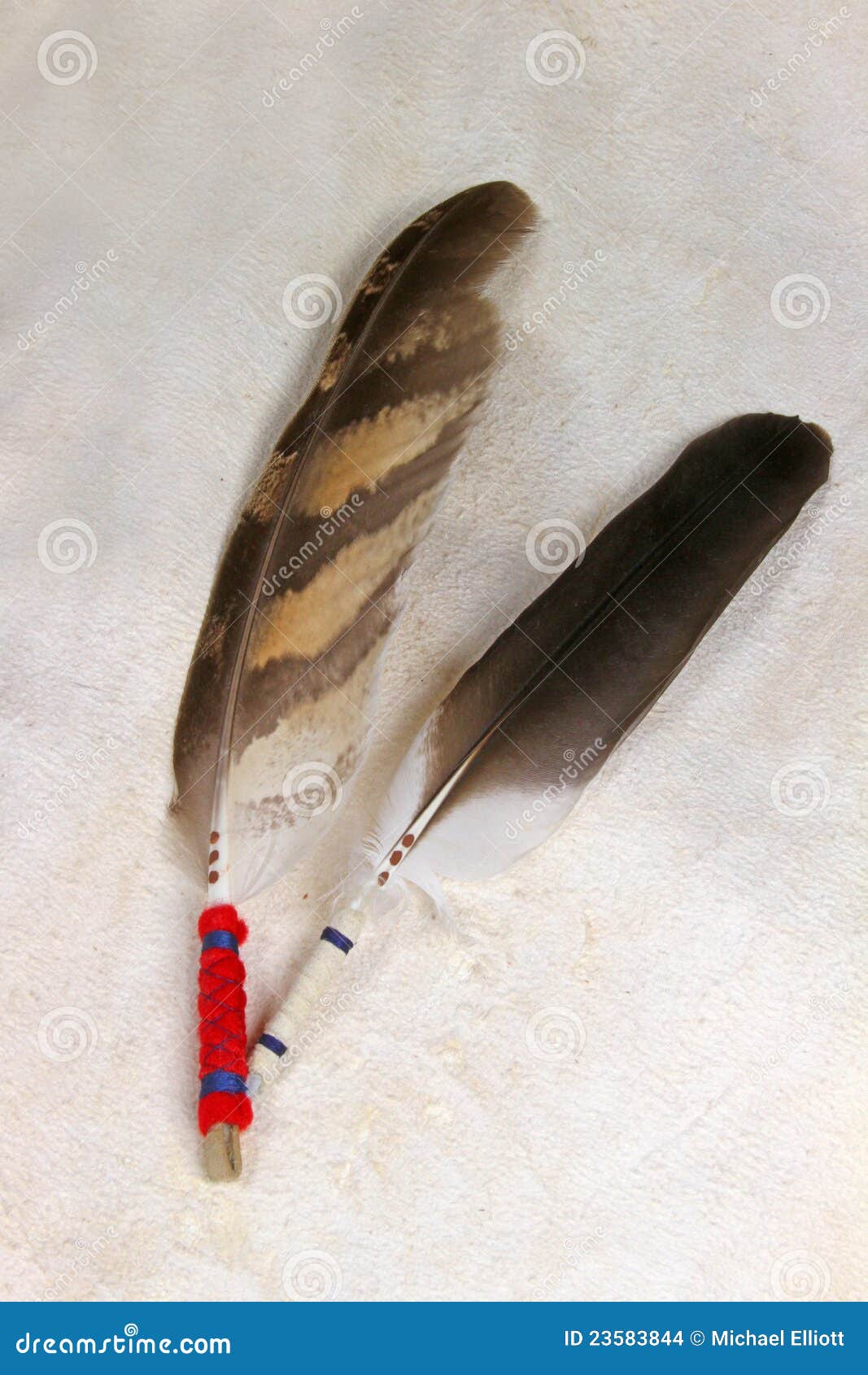 Two Feathers. Native American Raptor Feathers With Rawhide background