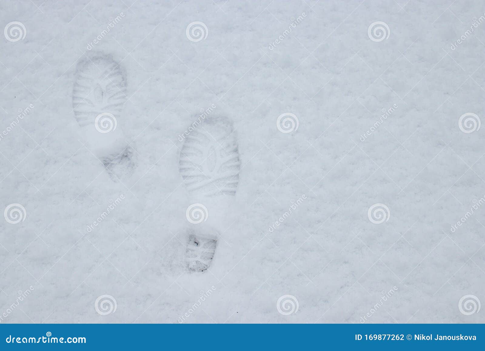 Snow white feet