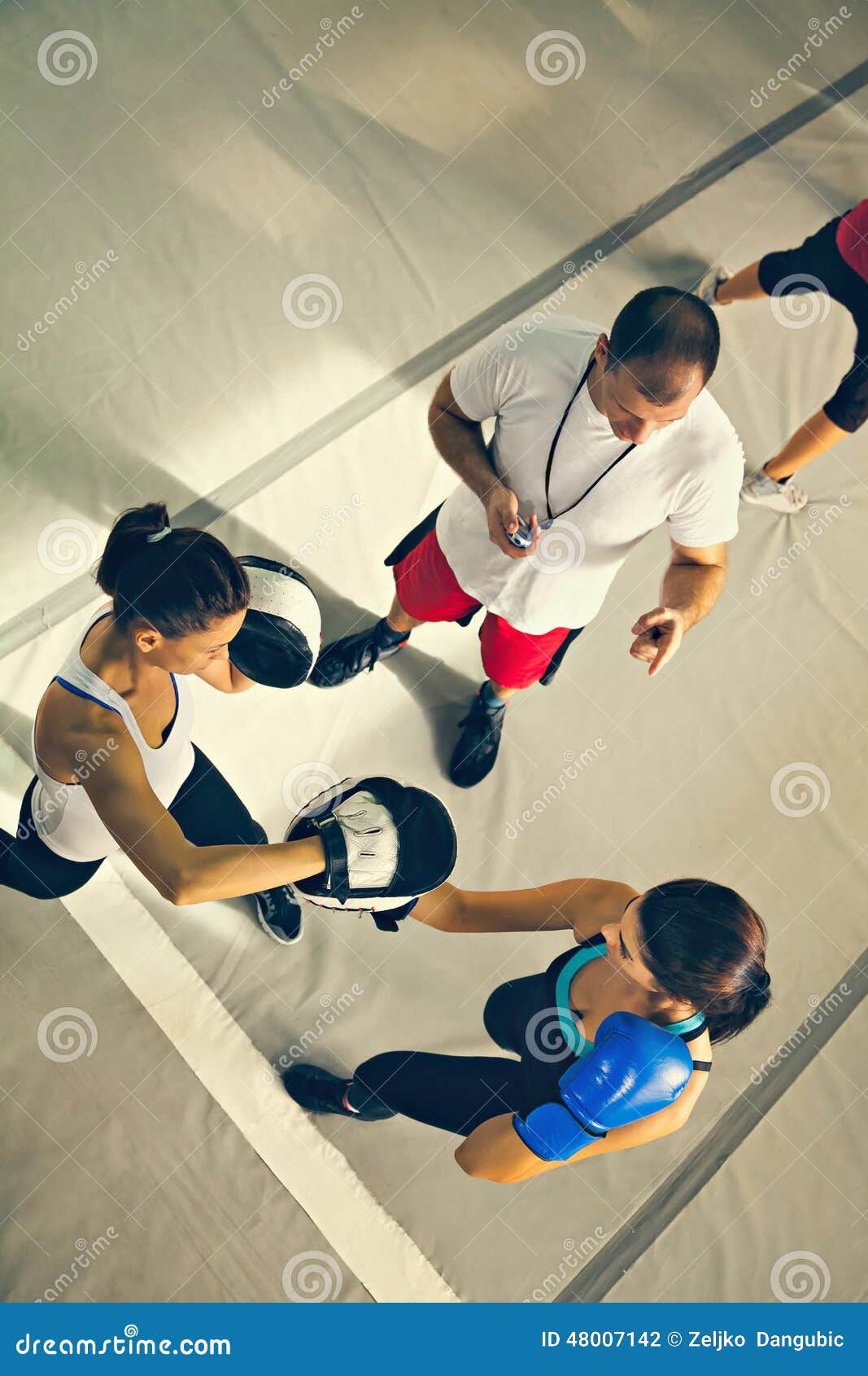 Two Female Boxers at Training Stock Photo Image of equipment, health 48007142