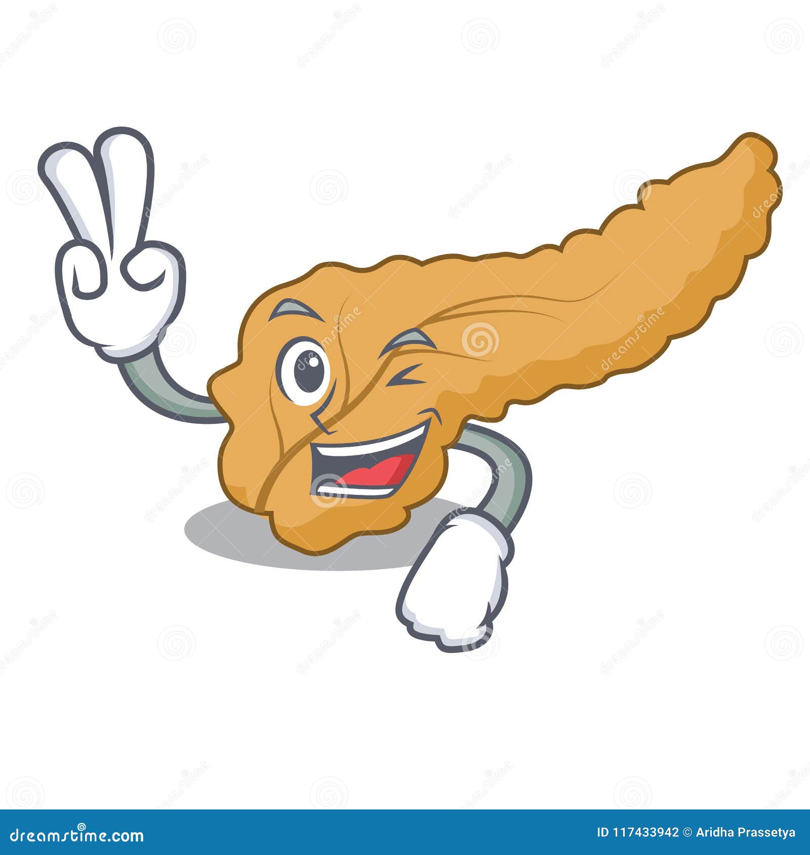 funny pancreas drawing