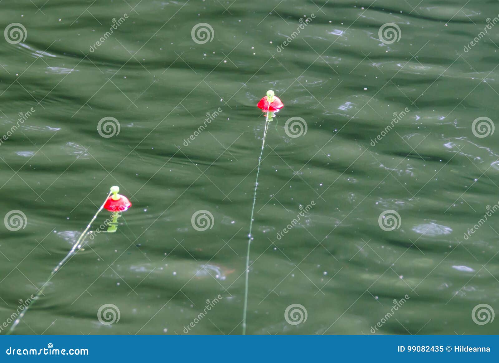 https://thumbs.dreamstime.com/z/two-fishing-bobbers-floating-lake-river-water-waters-fun-outdoor-recreational-activity-relax-enjoy-sport-99082435.jpg
