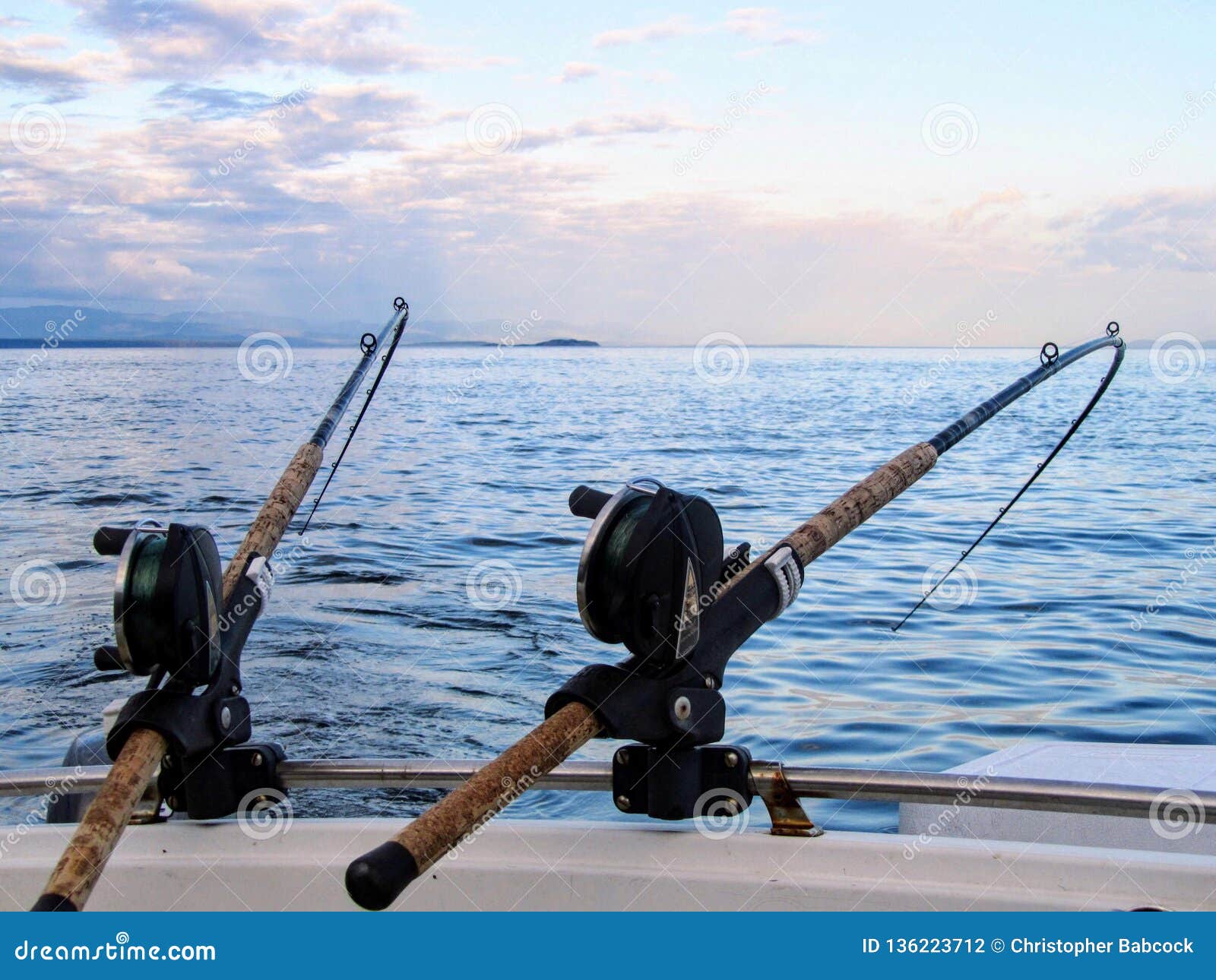 Two Fishing Rods Held in Fishing Rod Holders, Attached To a Back of a Boat.  the Rods are Bent from the Weight of the Down Riggers Stock Photo - Image  of fish