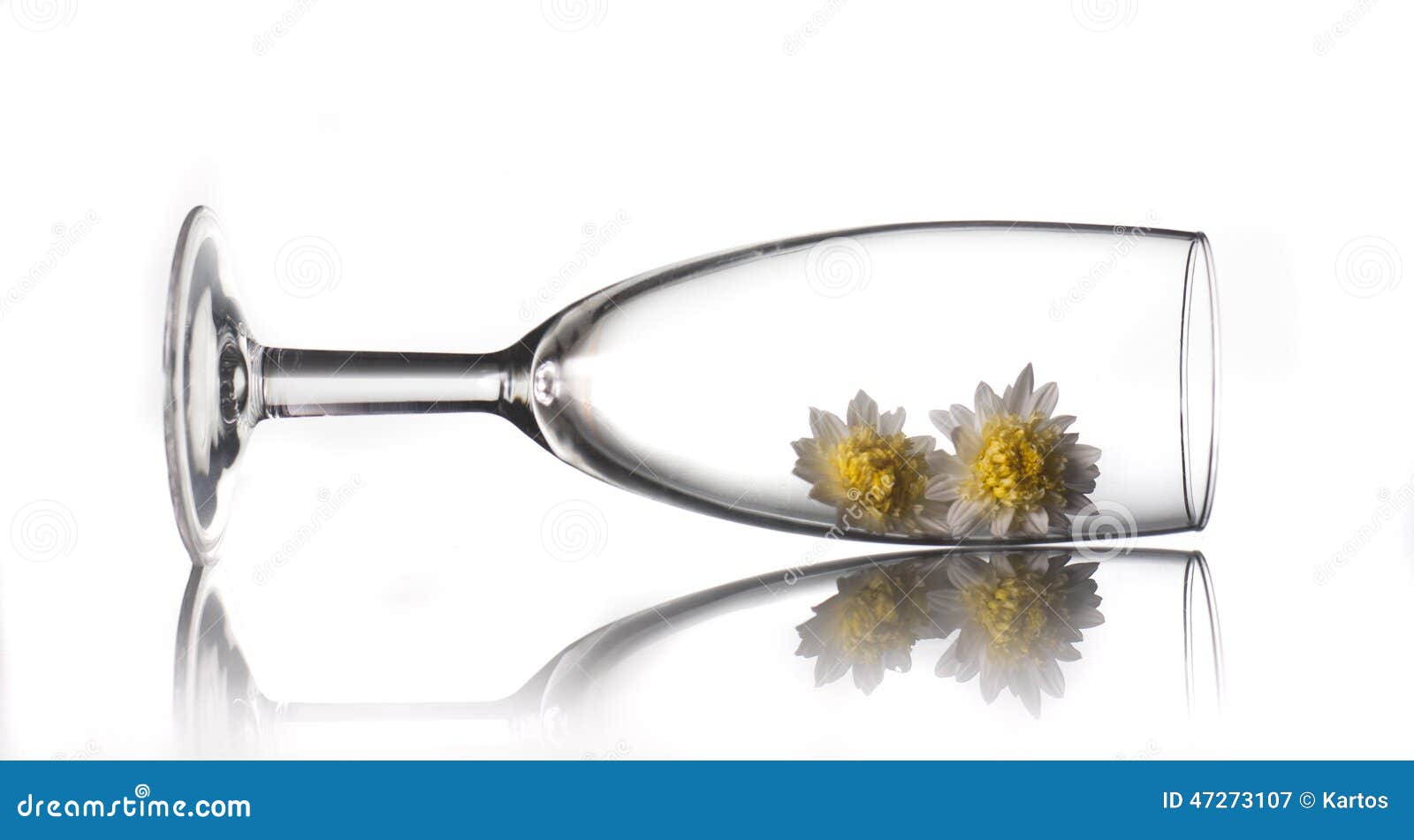 Two flowers inside a glass stock image. Image of champagne 47273107