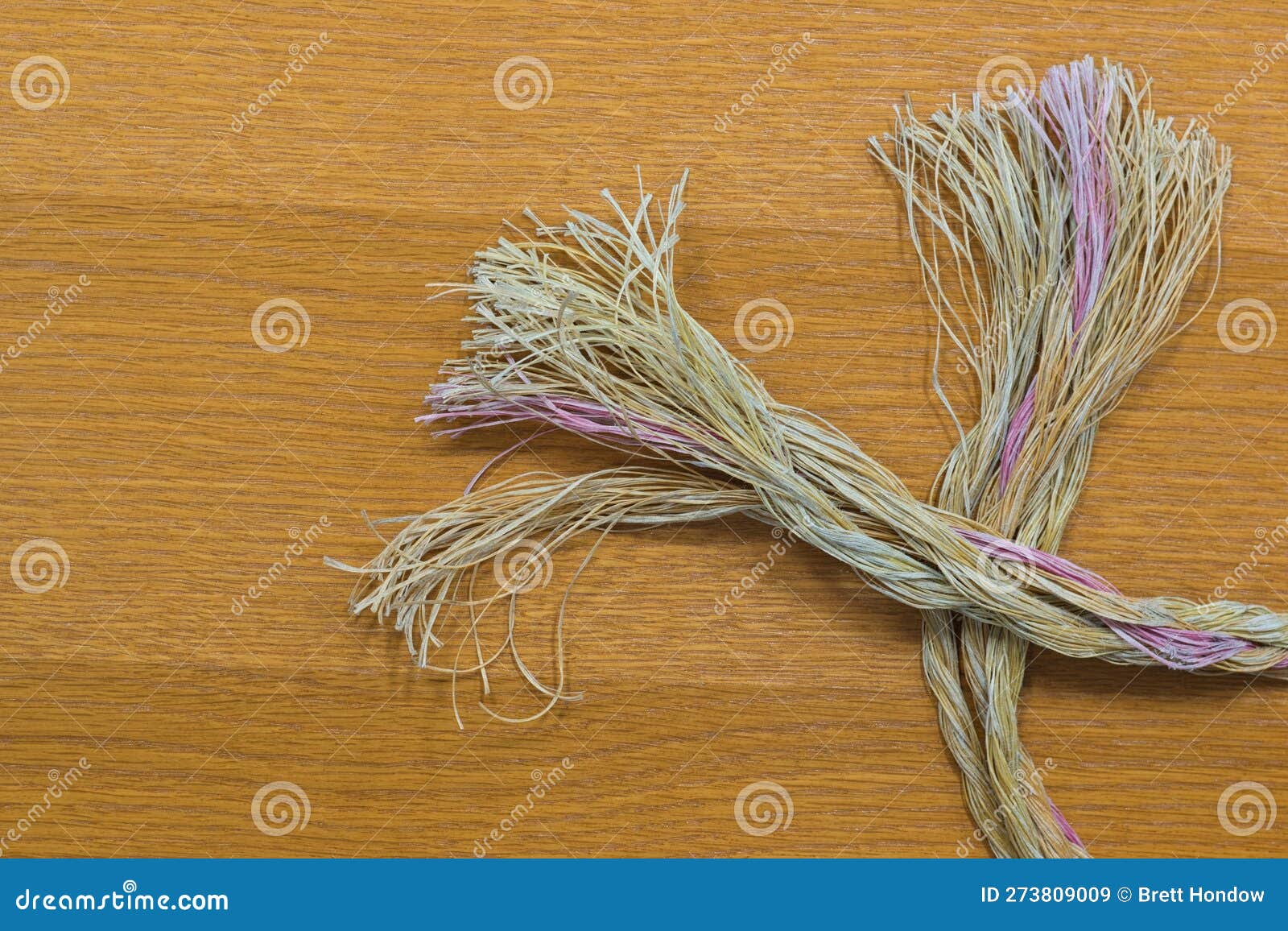 Two Frayed Rope Ends Crisscrossed, Broken and Severed in the Middle on a  Plain Wooden Background. Stock Image - Image of connection, neglect:  273809009