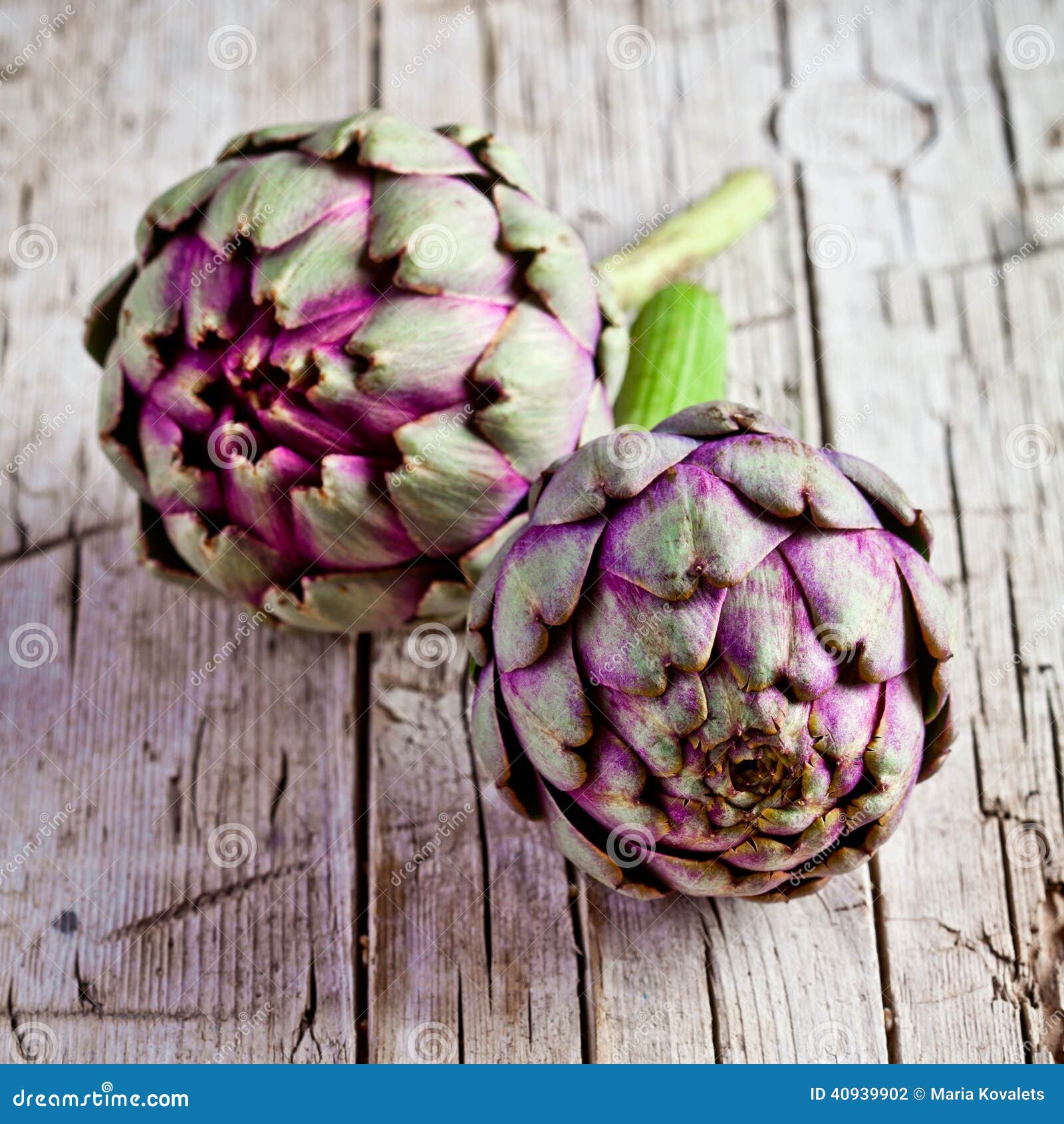 Two fresh artichokes stock photo. Image of flower, freshness 40939902
