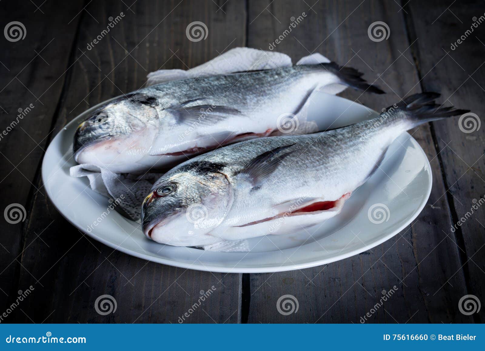 two fresh gilthead