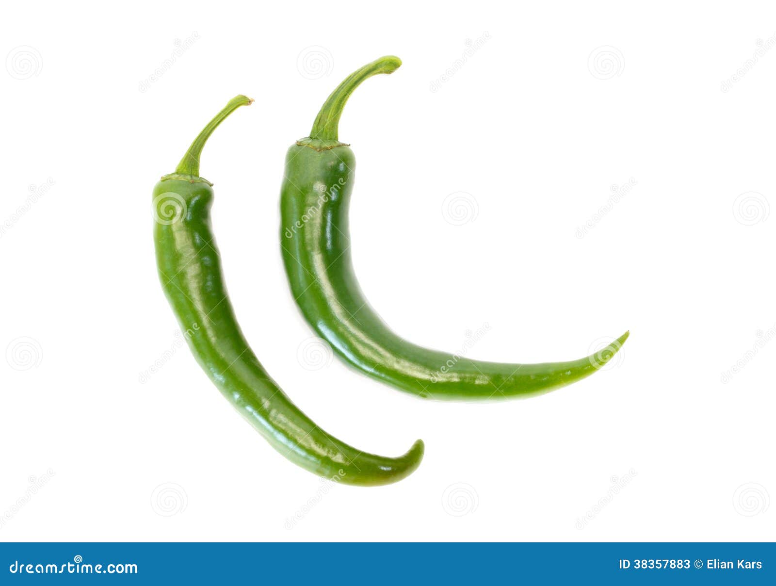 Two Fresh Green Chile Pepper Stock Image Image of chile, isolated
