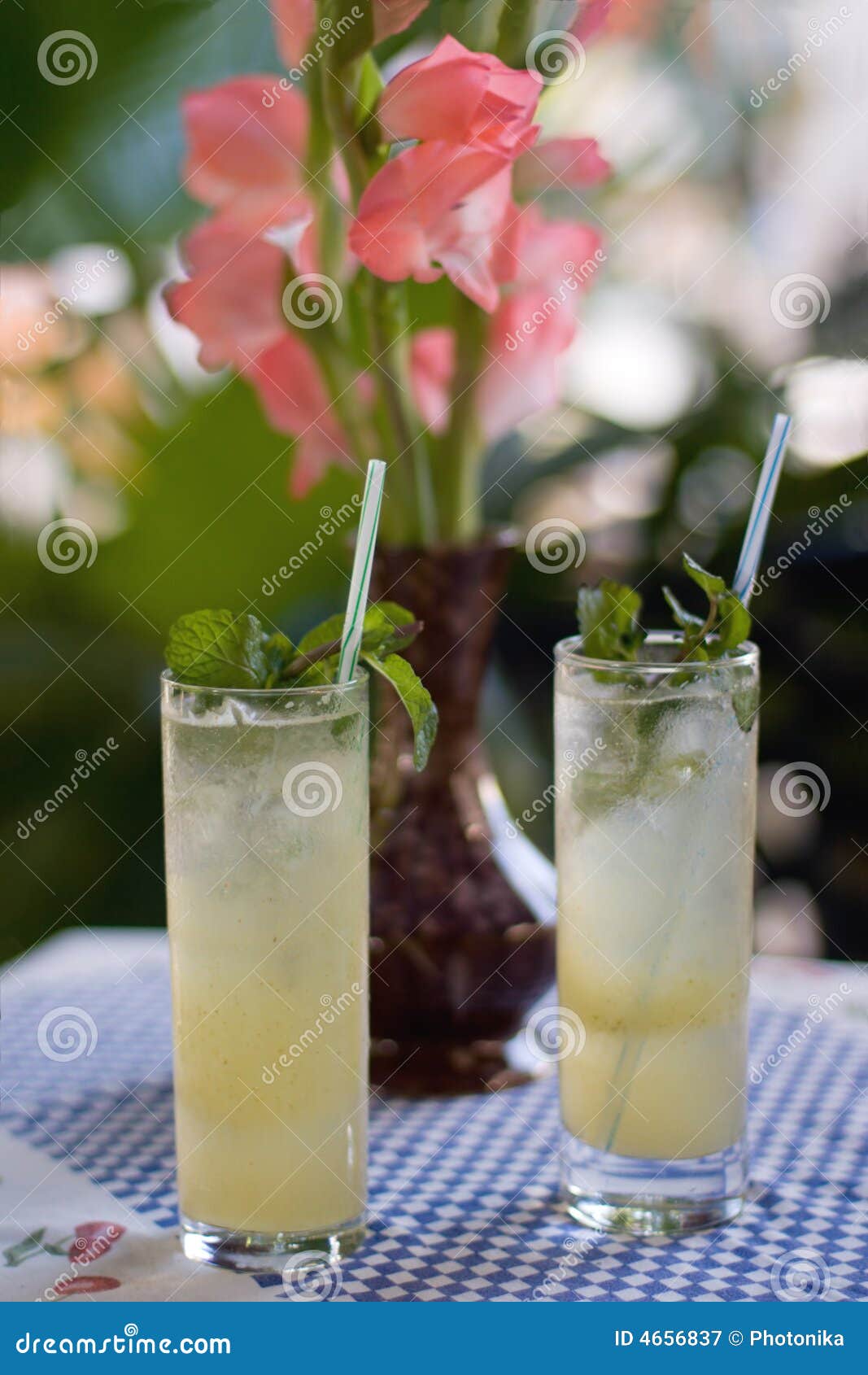 Two Fresh Mojitos with Mint and a Flower Stock Image Image of party