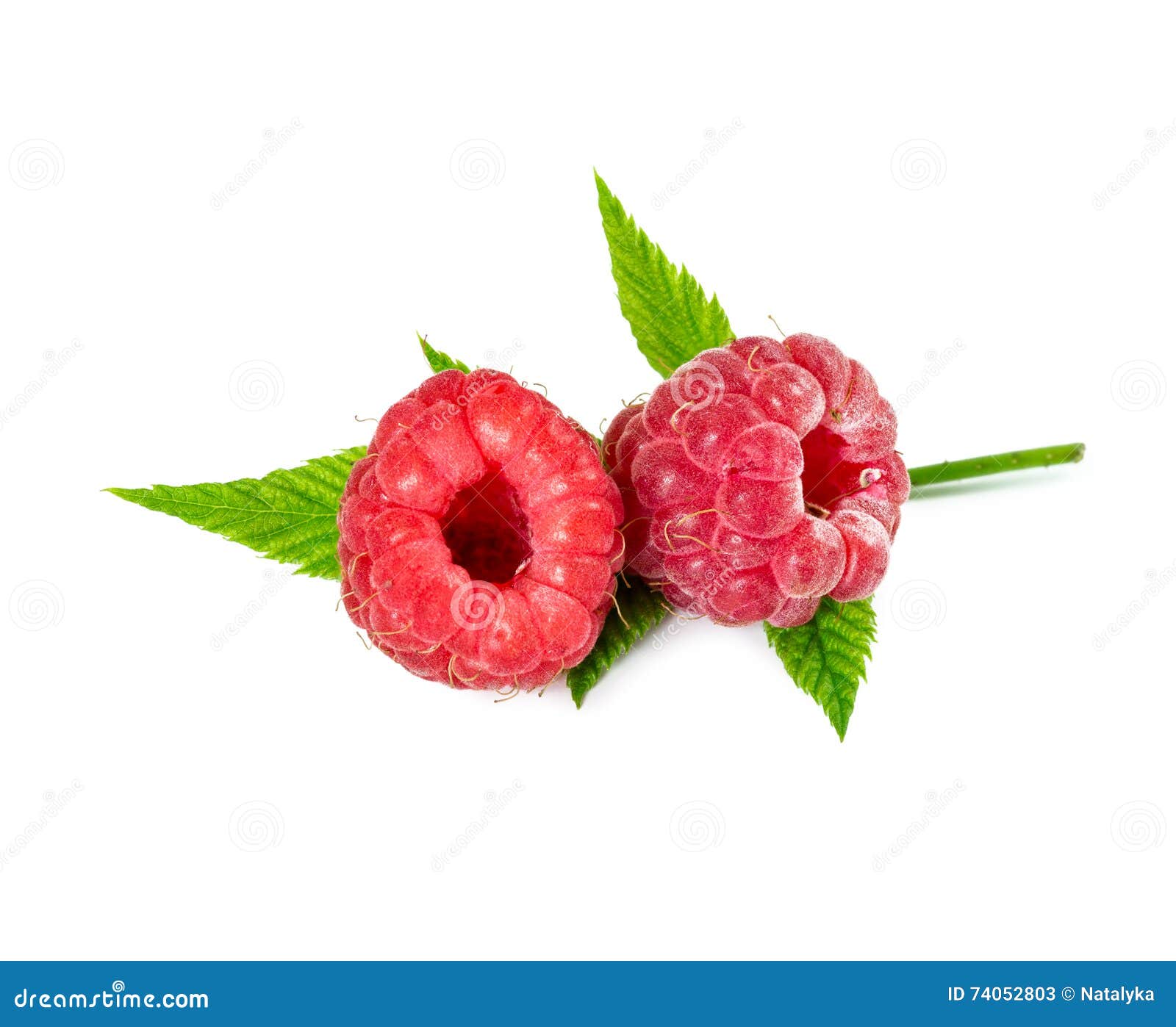 Two Fresh Raspberries on Leaves Stock Image - Image of snack, diet ...