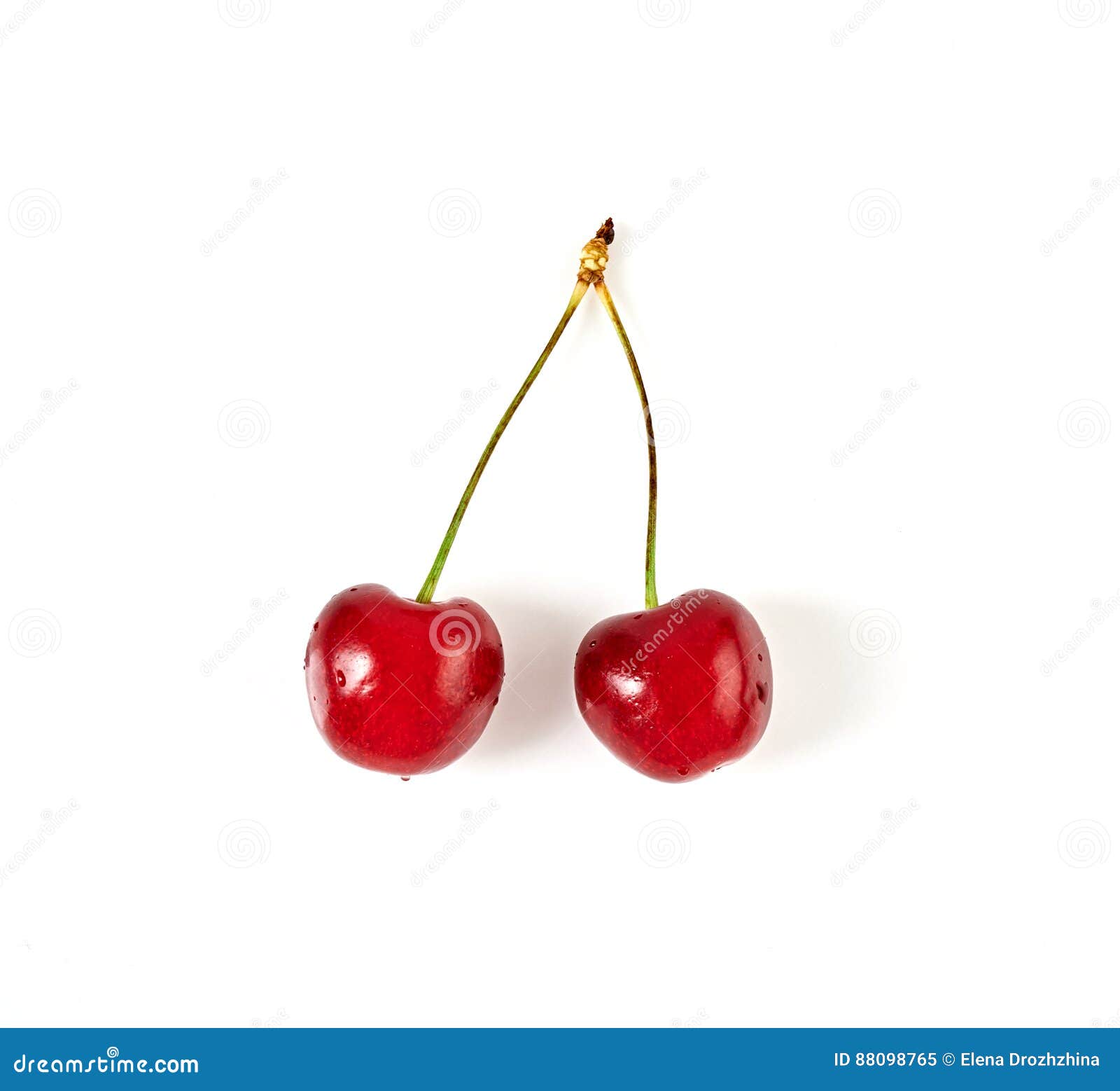 Two fresh ripe cherries stock image. Image of bright - 88098765