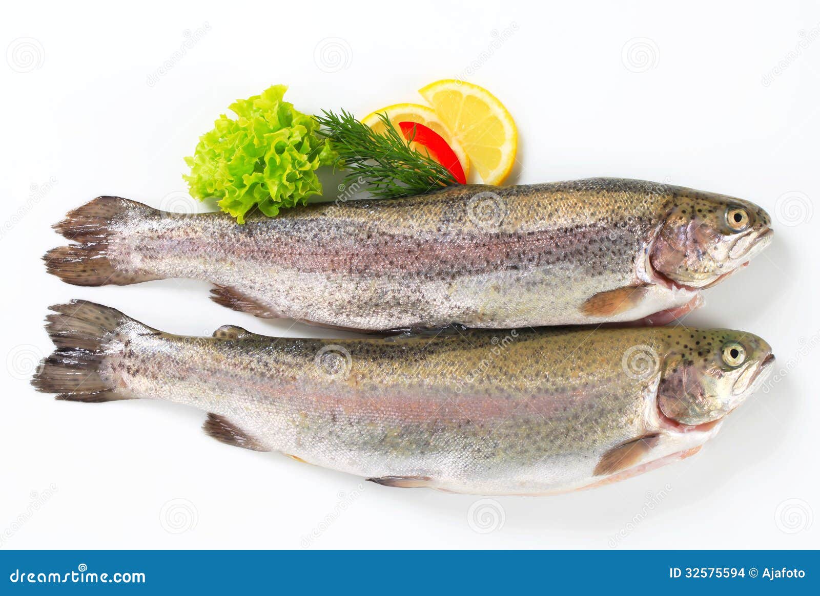 Two fresh trout stock photo. Image of preparation, frozen 32575594