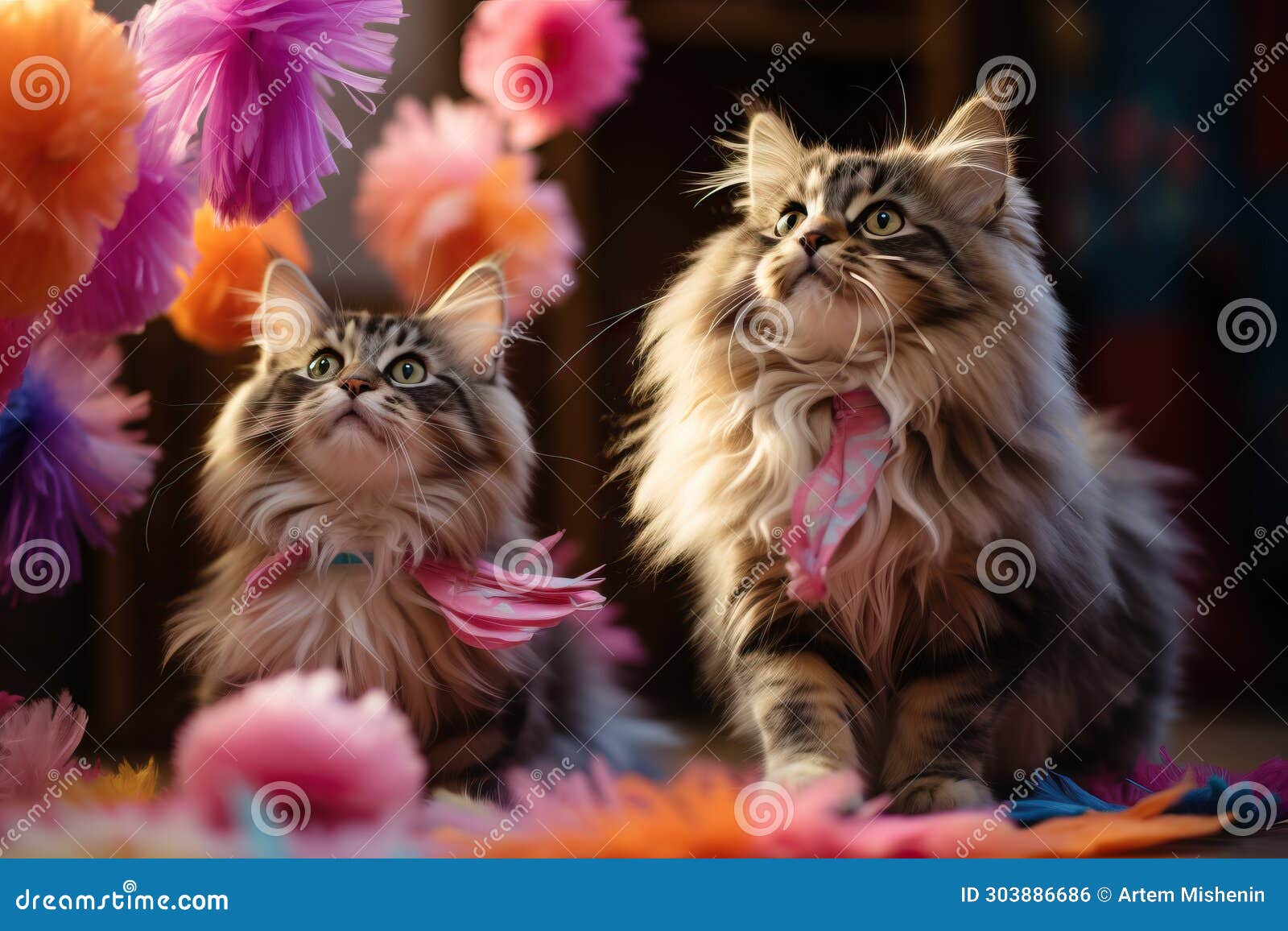 two furry cats look up spellbound.
