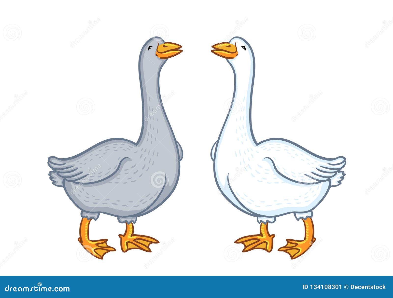 two geese white and gray, cartoon funny goose  on white background, goose domestic nature character, poultry