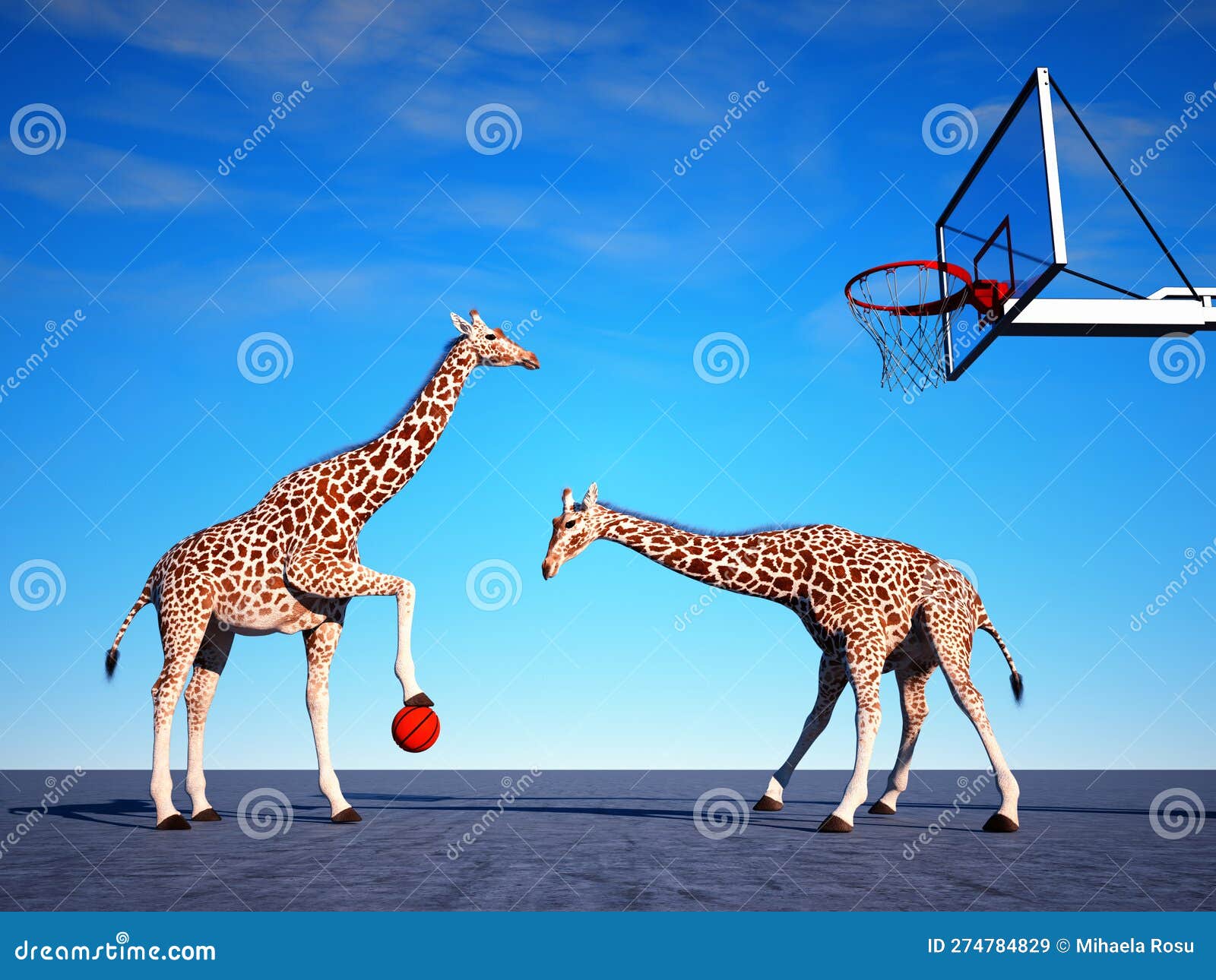 Two Giraffes Playing Basketball. Sport Concept Stock Illustration