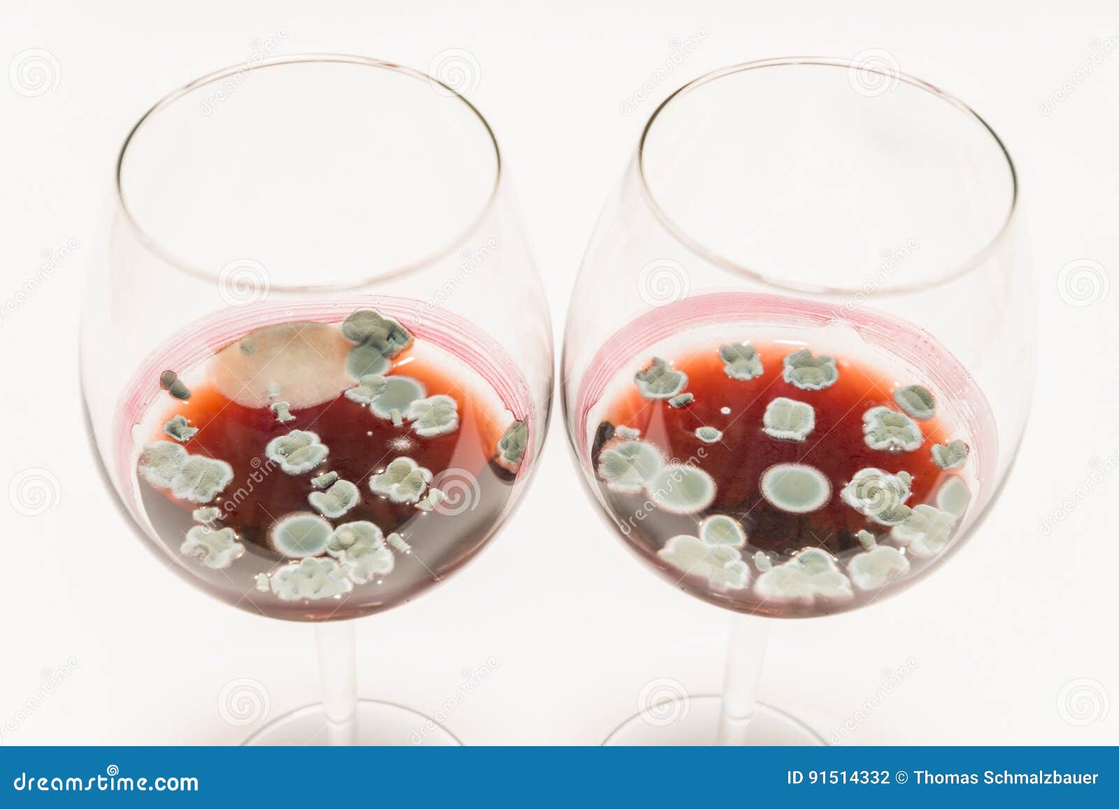 Two Glasses with Moldy Red Wine on White Table Stock Photo Image of