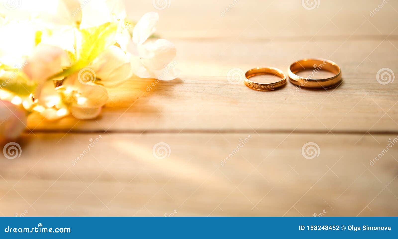 Two Gold Rings on a Wooden Background with White Apple Blossoms ...