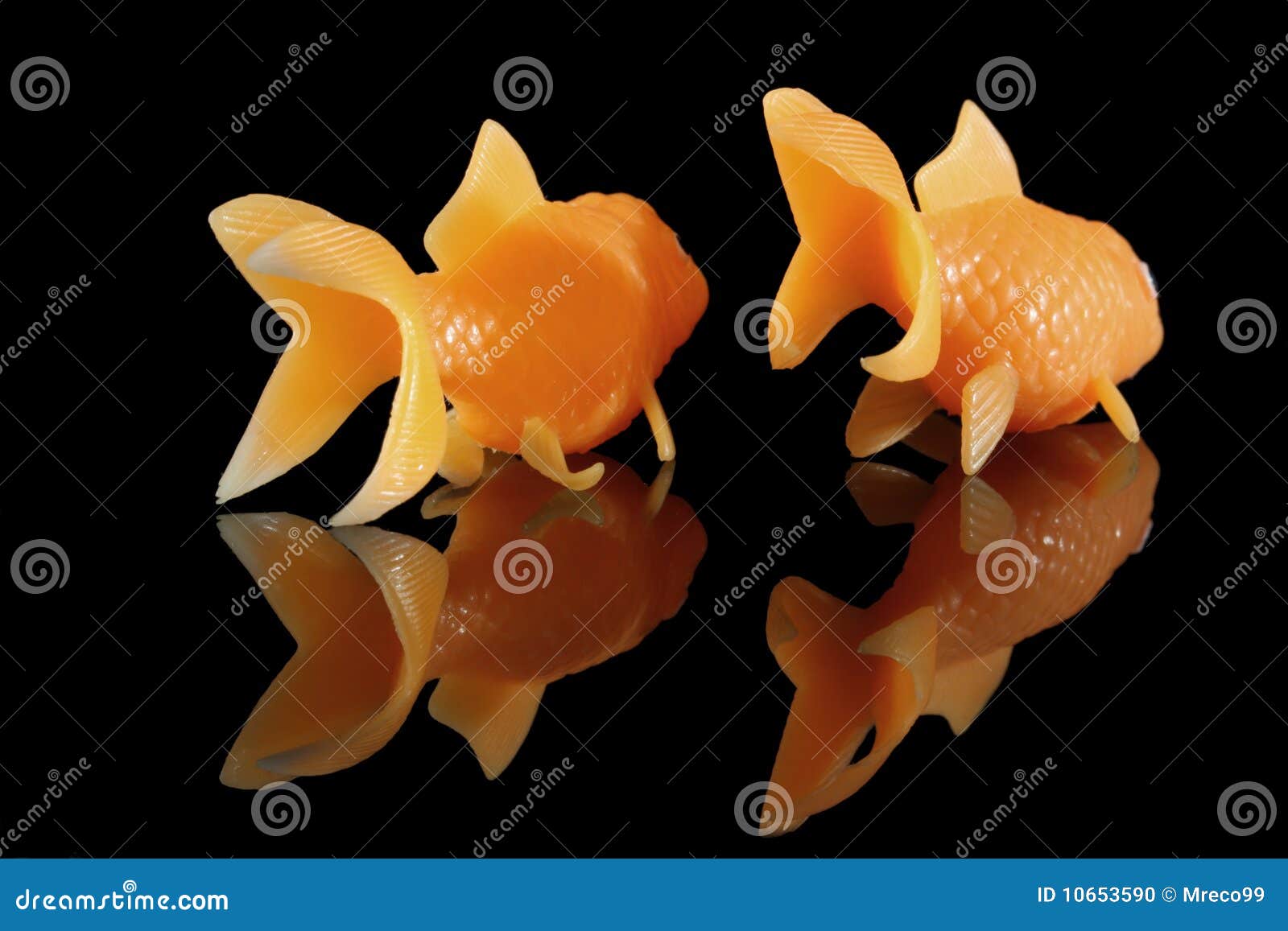 Two goldfish swimming away stock photo. Image of chasing 10653590