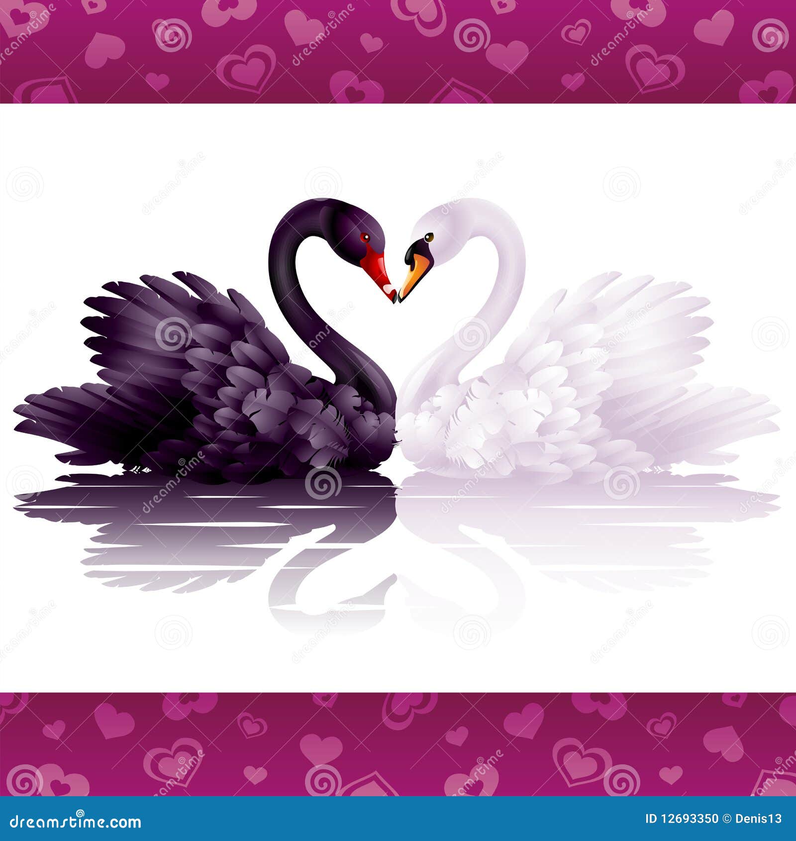 two graceful swans in love