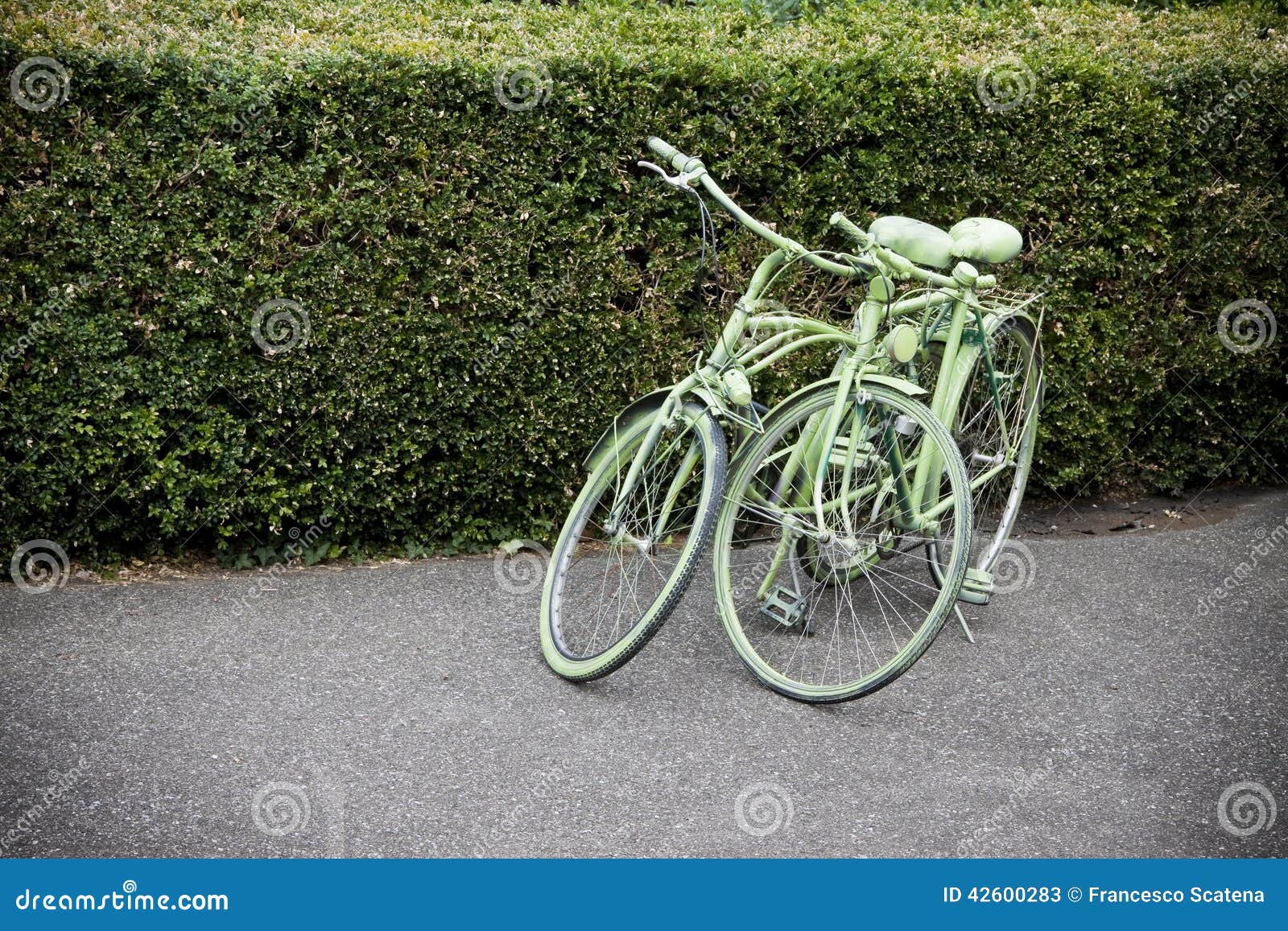 Two green bicycles stock image. Image of health, green 42600283