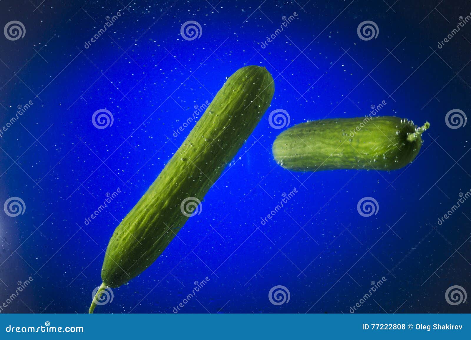 Two Green Cucumber in Water on a Blue Background Stock Photo Image of