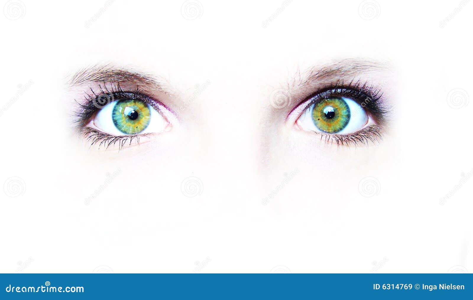two green eyes