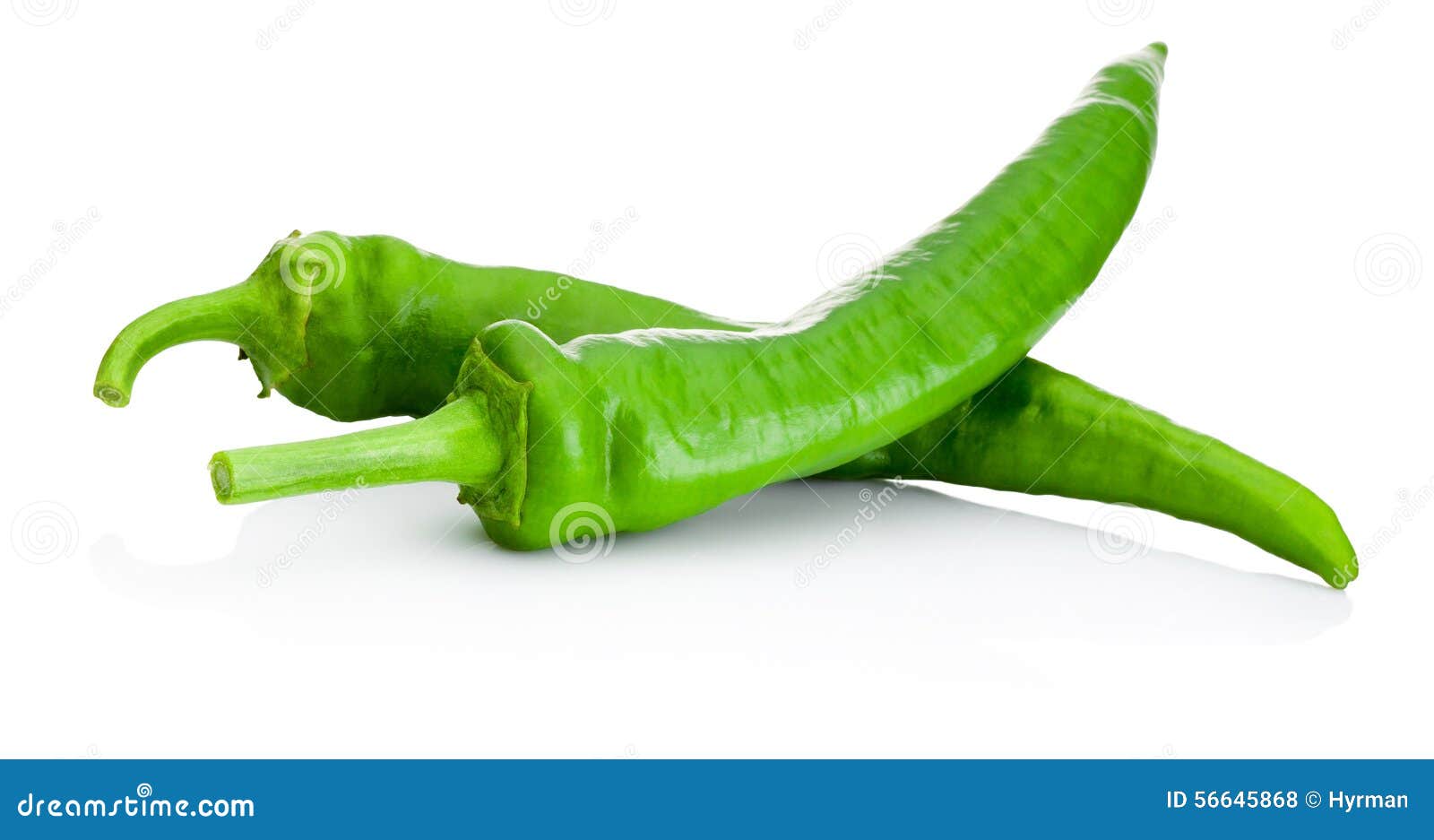 Two Green Hot Peppers Isolated on White Background Stock Photo Image