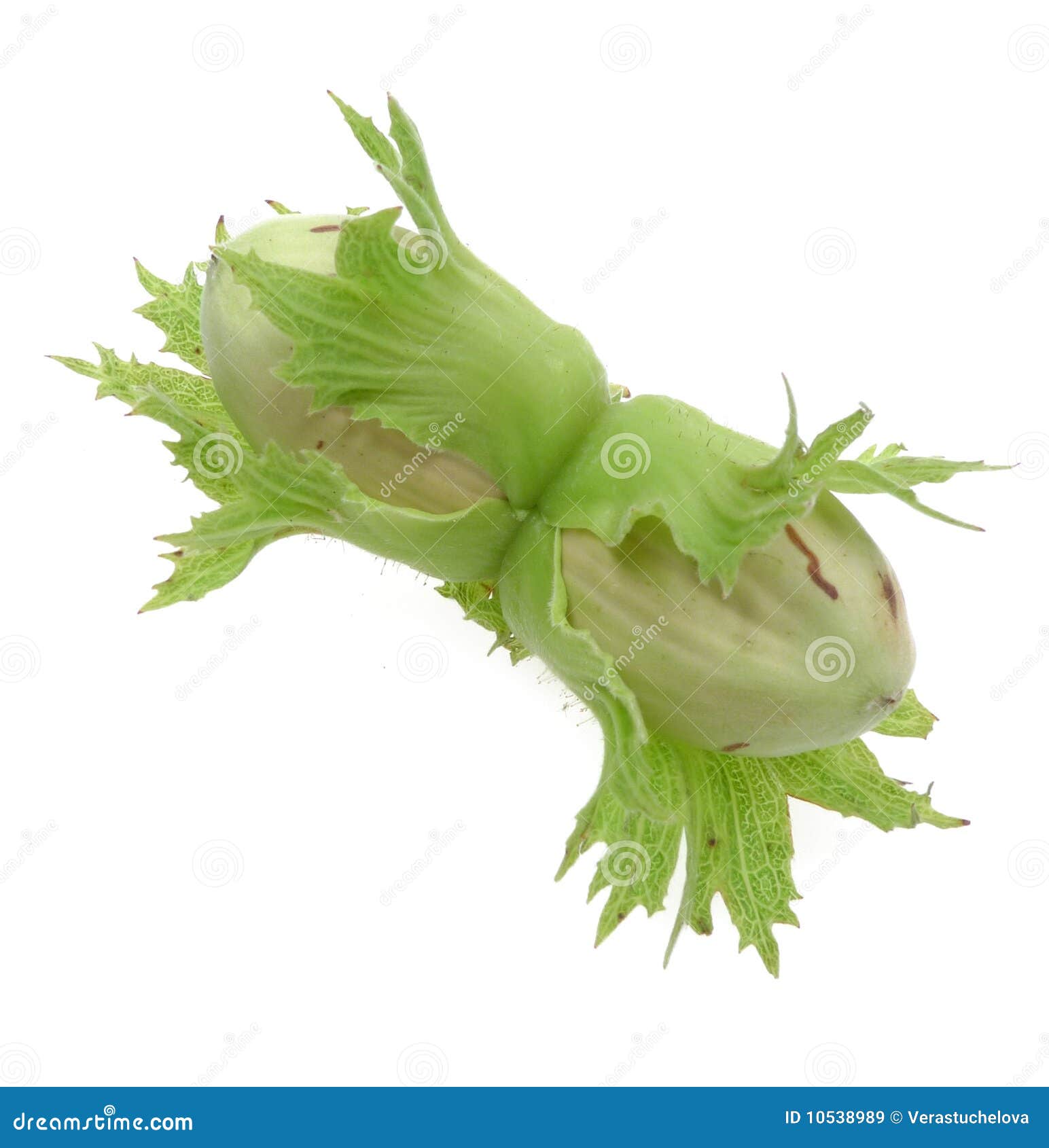 Two green nuts isolated stock image. Image of food, care 10538989