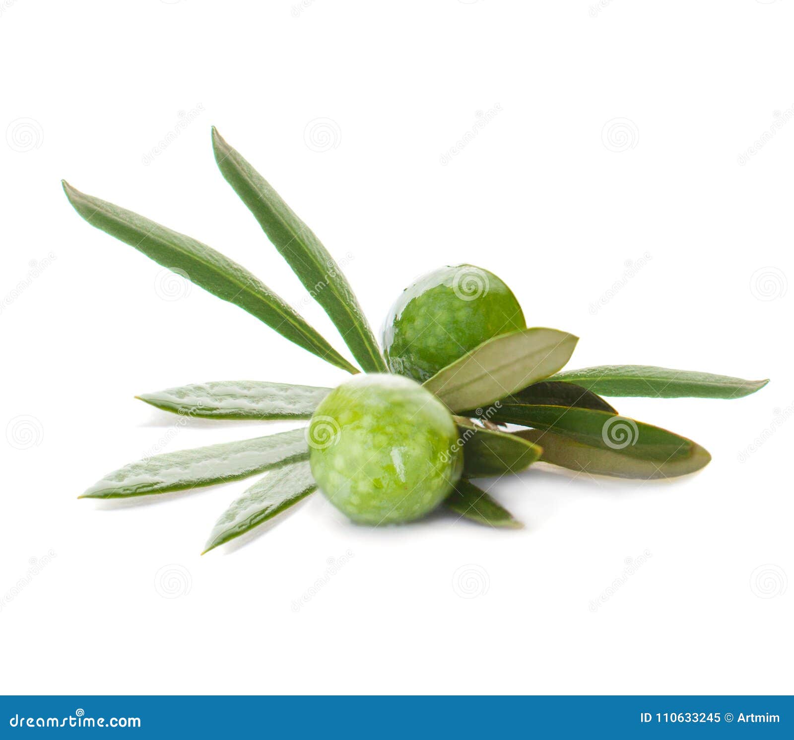 Two Green Olives Fruit on White Background Stock Image Image of