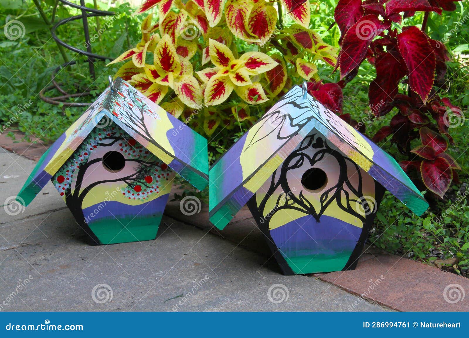 two hand-painted house wren nest boxes in the summer garden