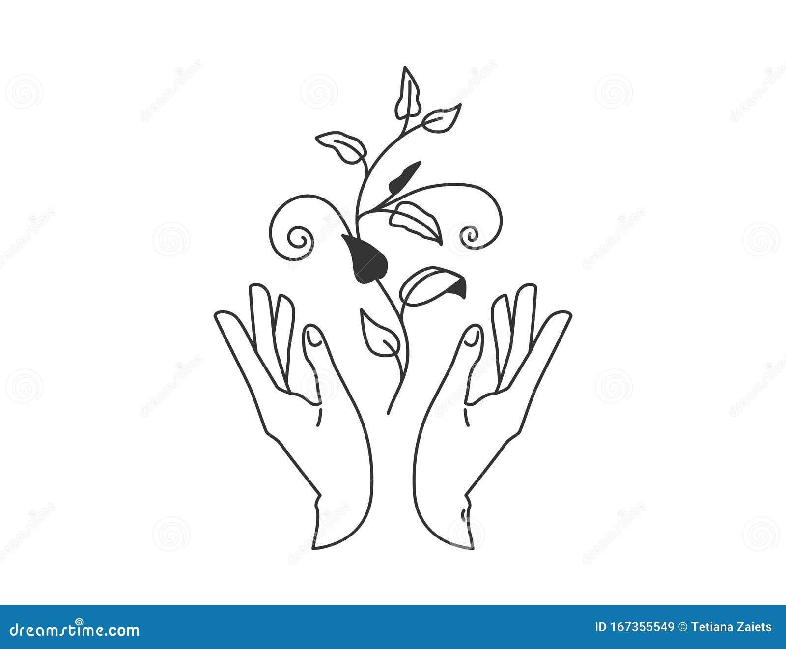 Two Hands Hold Floral Plant with Leaves. Vector Illustration in Simple ...