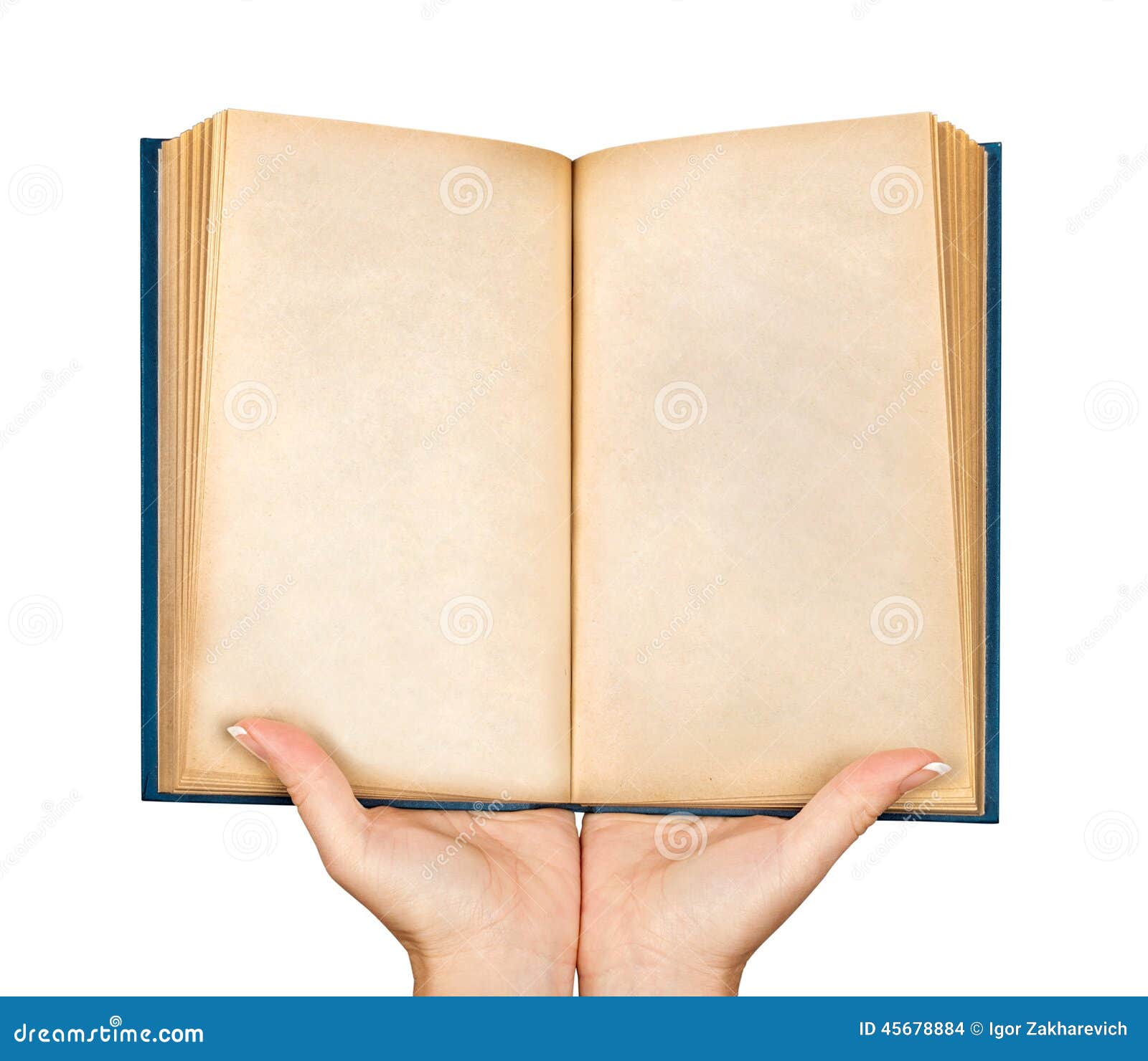 Top View Two Hands Hold A Empty Book Spread Stock Photo - Download Image  Now - Females, Holding, Open - iStock