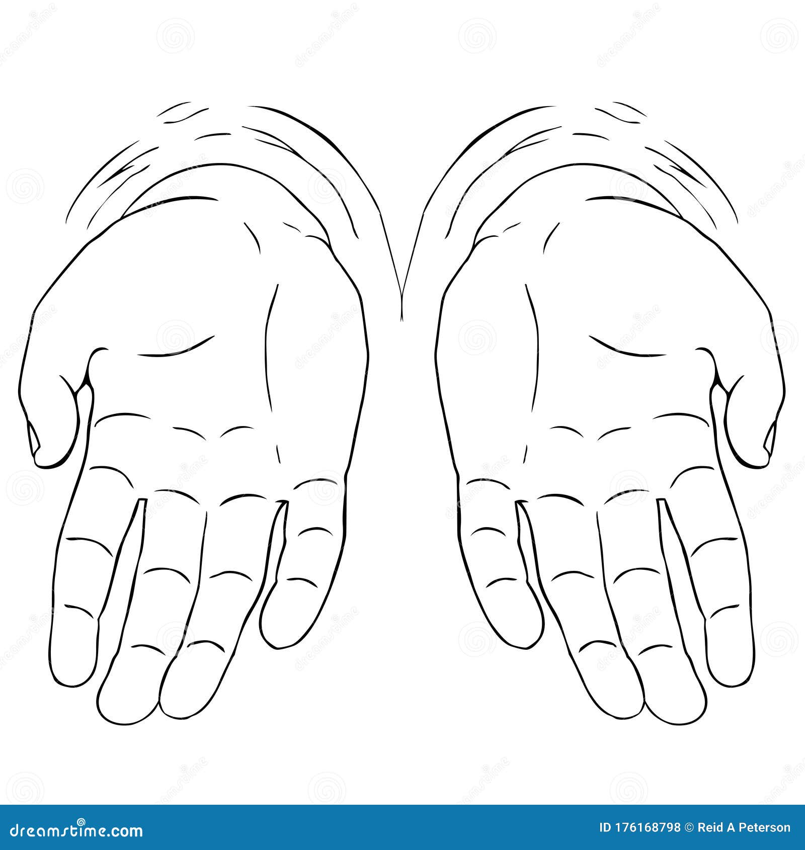 two-hands-palms-open-extended-illustration-design-black-white-isolated-drawing