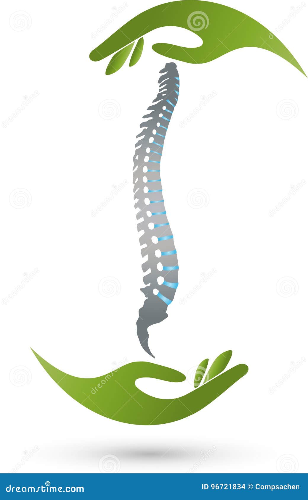 two hands and spine, orthopedics and massage logo