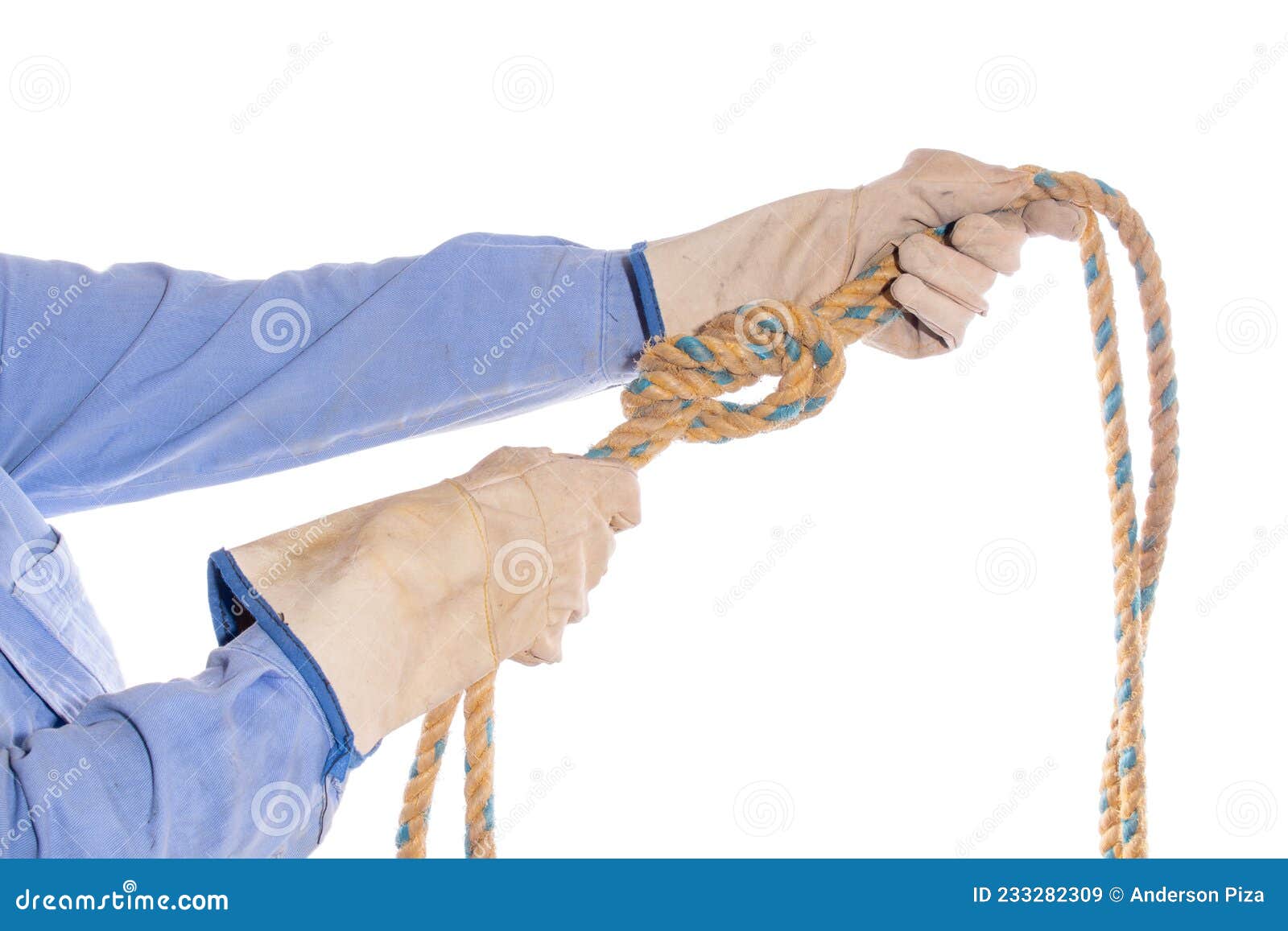 Two Hands Tying a Simple Knot To a Rope, Isolated on White Background.  Hands Wearing Gloves Tightening an Eight Knot Stock Image - Image of white,  eight: 233282309